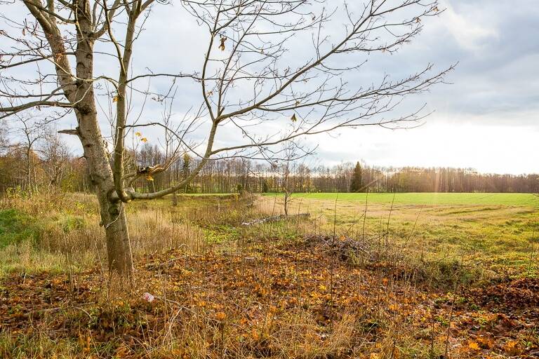 5 rum Villa på Gäre Björkåsen Gäre Tibro kommun - bild 6