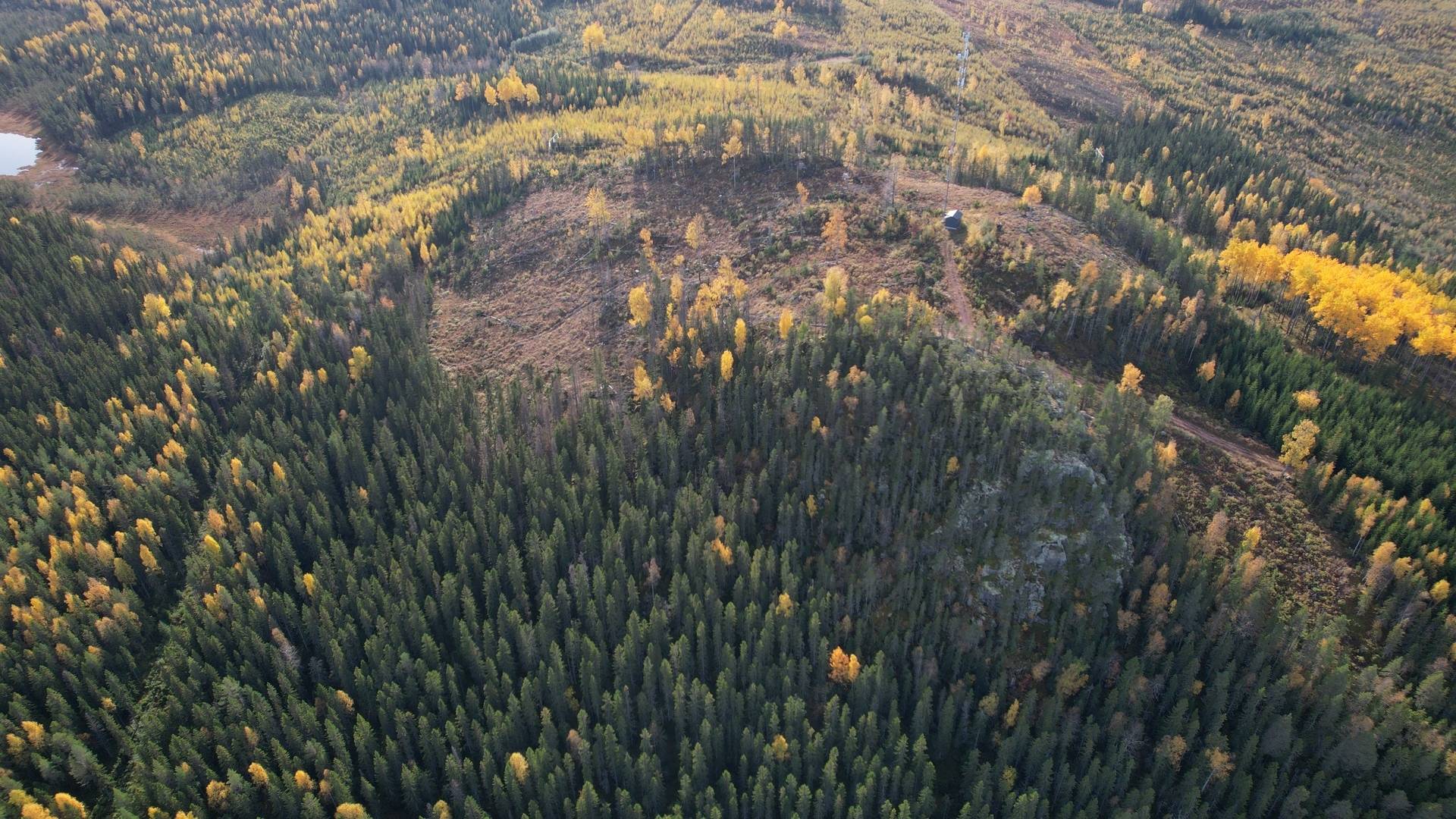 Gård/skog på RAGUNDA RAGUNDA-BÖLE 2:107 Ragunda kommun - bild 19