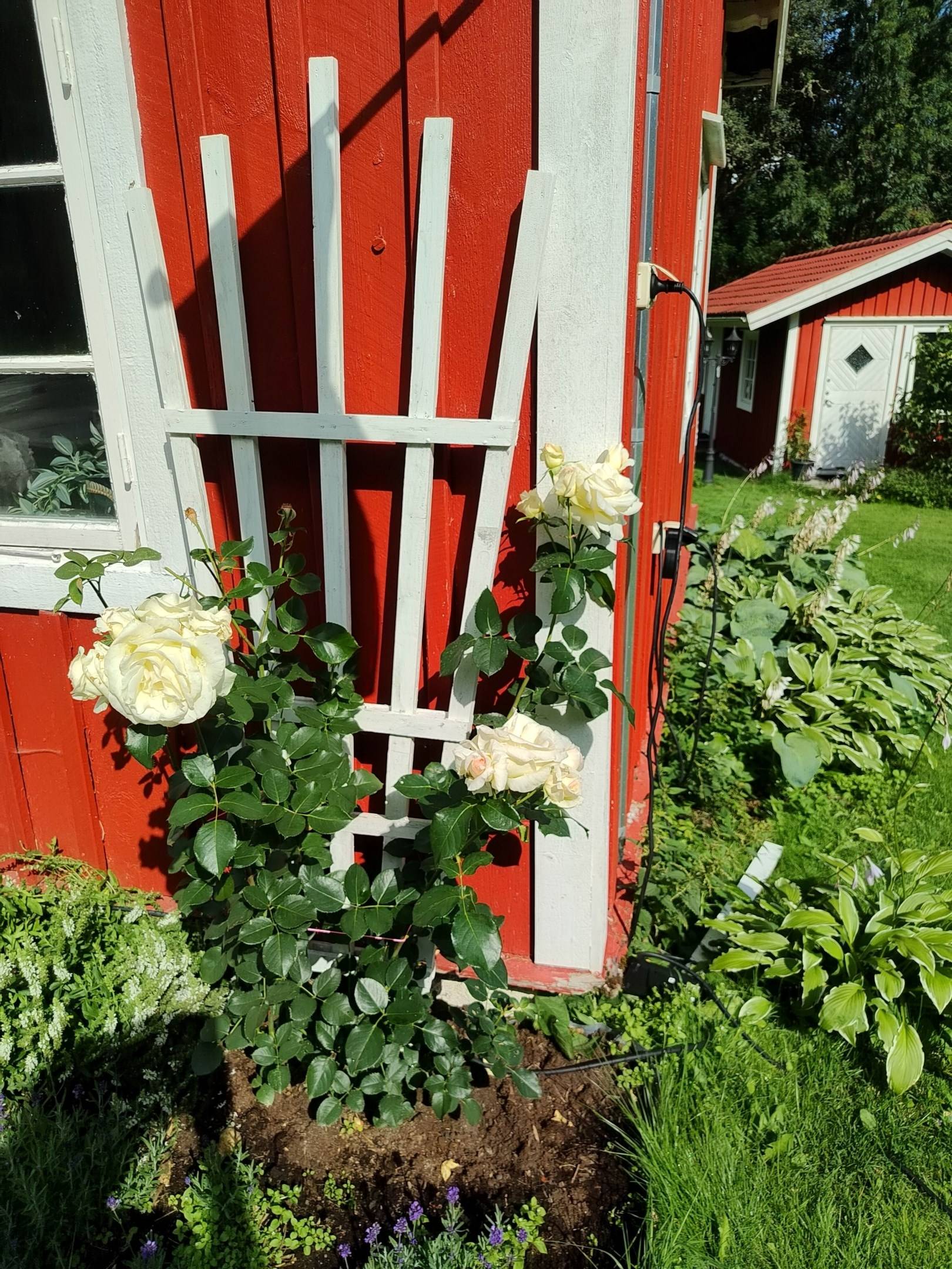 5 rum Villa på Ramnaklev Västergården Vårgårda kommun - bild 29