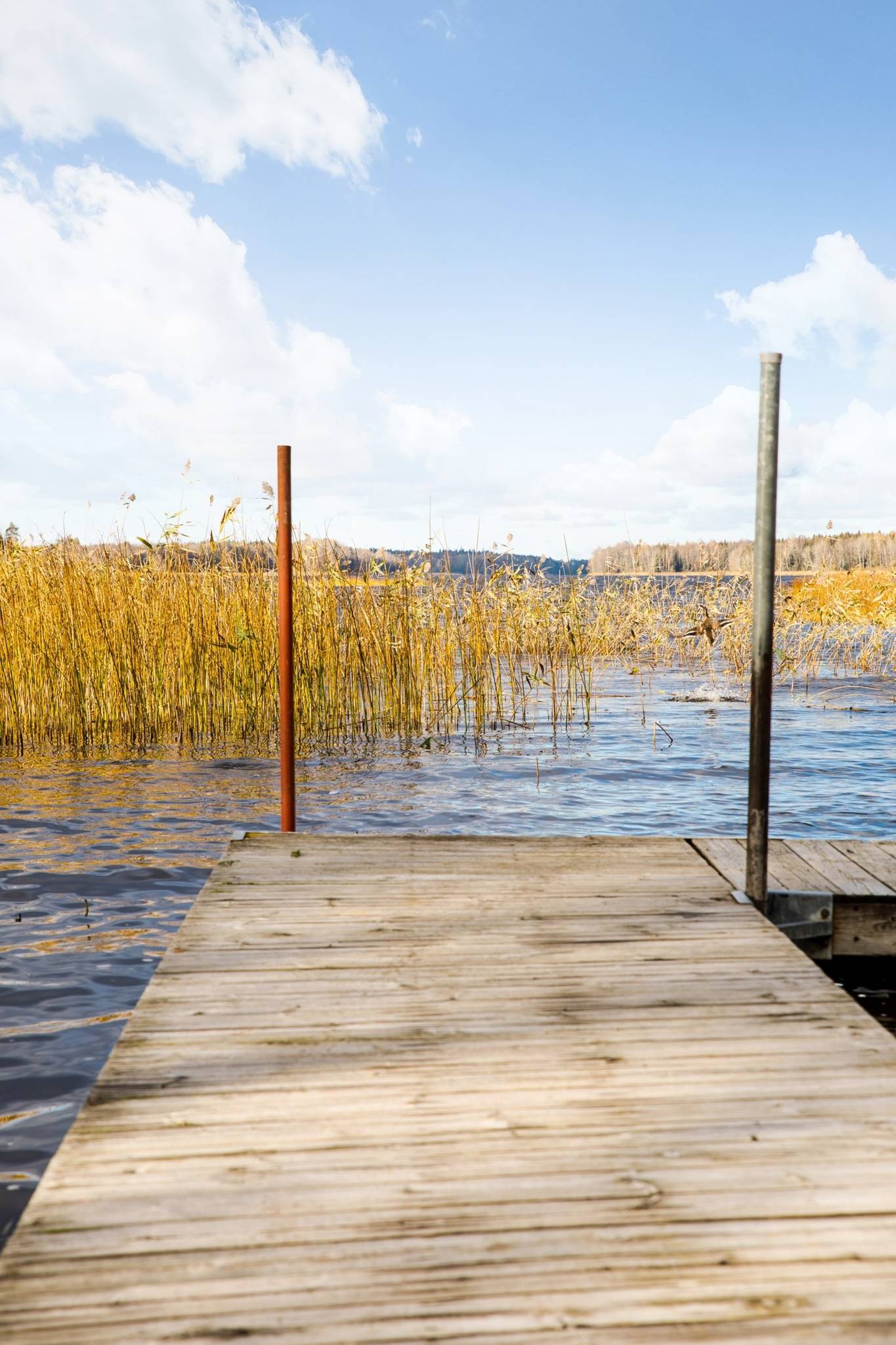 1 rum Fritidshus på Stensunda Vällen 193 Alunda Östhammars kommun - bild 34