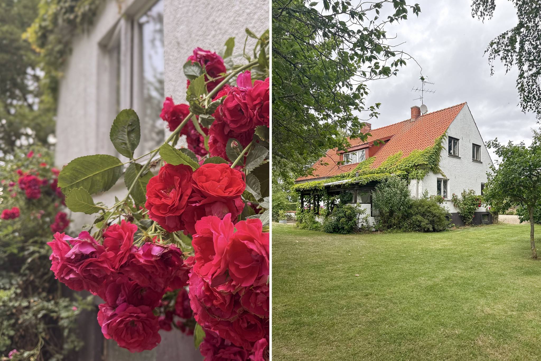 10 rum Gård/skog på Bostället i Stora Herrestad, Mensalvägen 109 Stora Herrestad Ystads kommun - bild 76