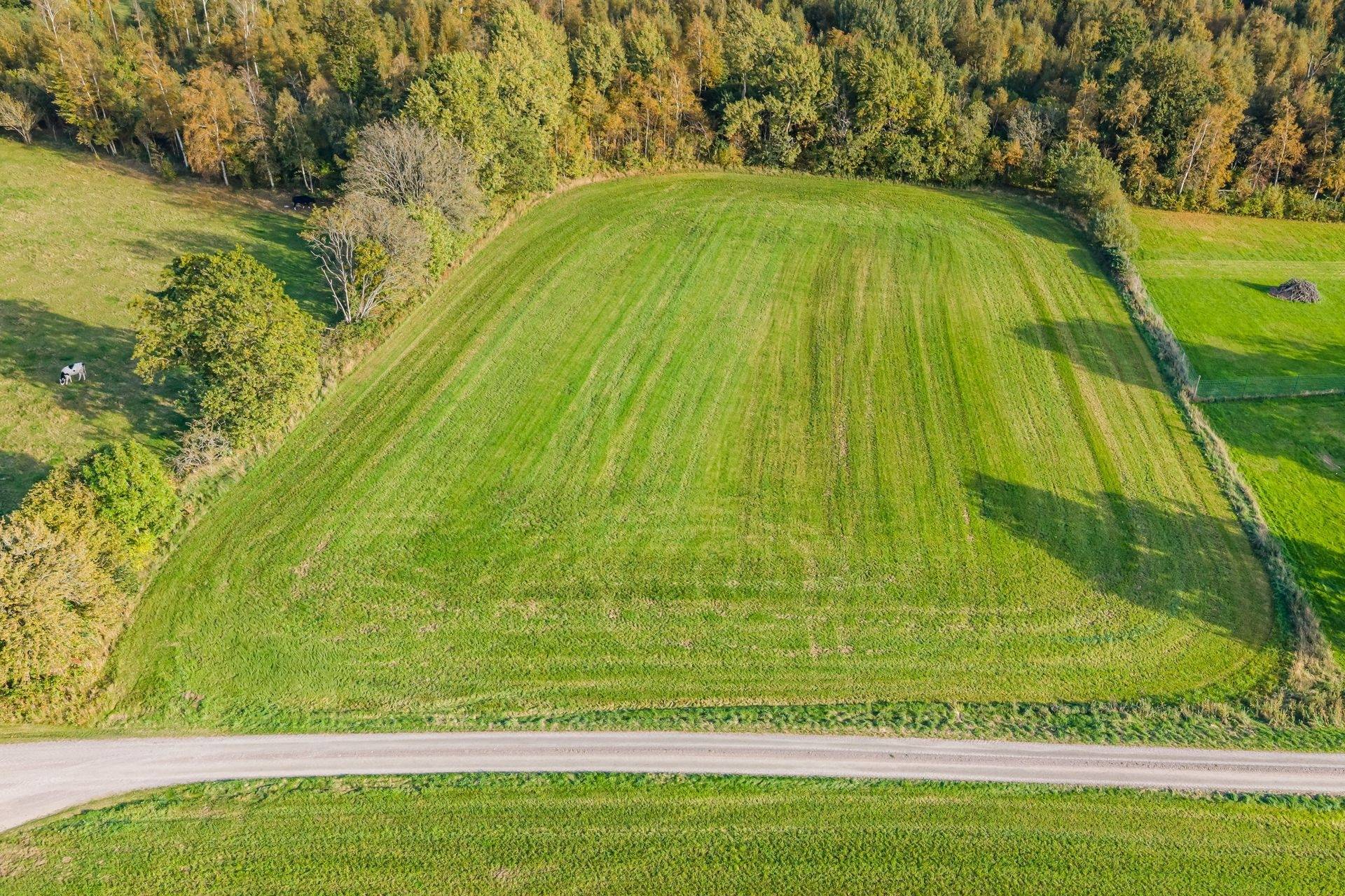 Gård med jordbruk på Lejeby 164 Laholms kommun - bild 49