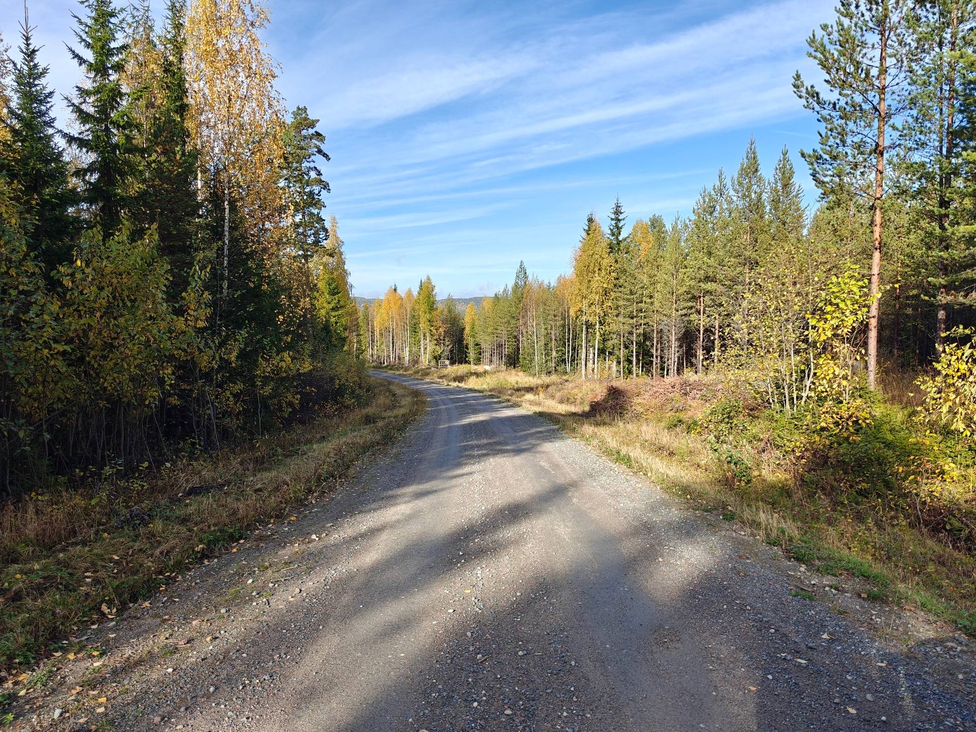 Gård/skog på RAGUNDA RAGUNDA-BÖLE 2:107 Ragunda kommun - bild 12