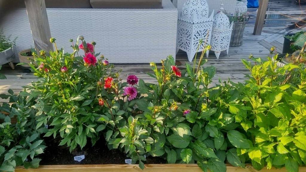 4 rum Villa på Volontärgatan 2 Stenkällan - Husie Malmö kommun - bild 37