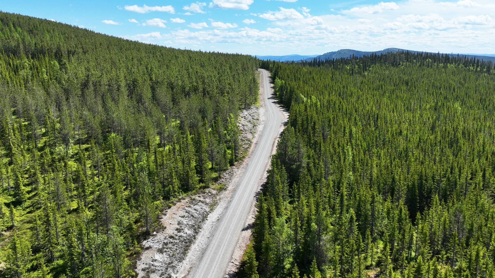 Gård med skogsbruk på Grövelsjön Grövelsjön Älvdalens kommun - bild 16
