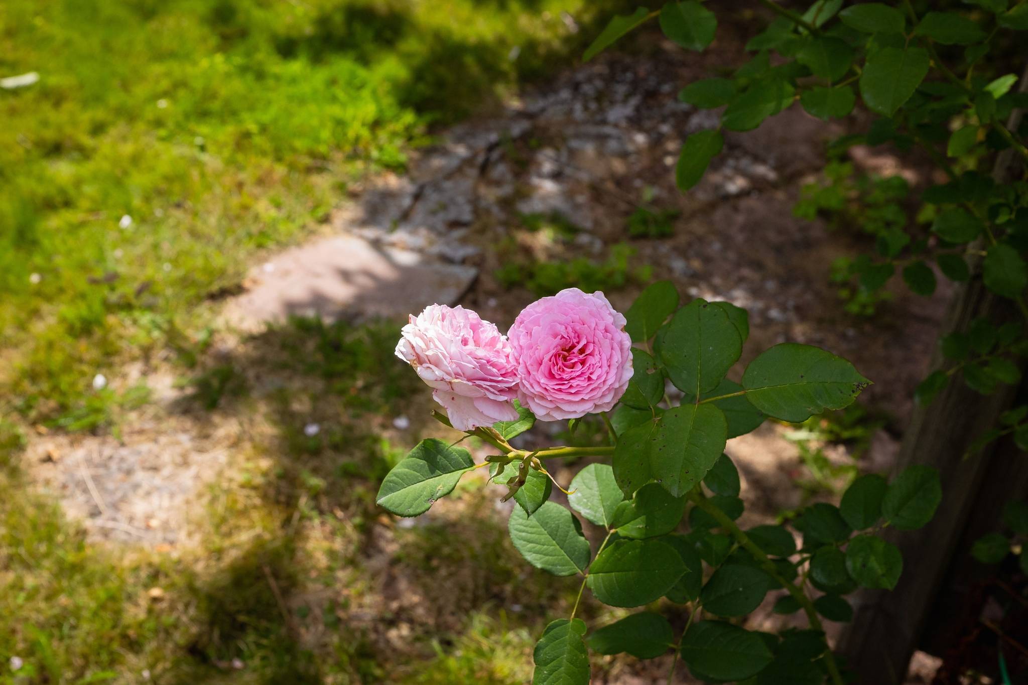 5 rum Villa på Tullare hög 3 Rödbo Göteborgs kommun - bild 7