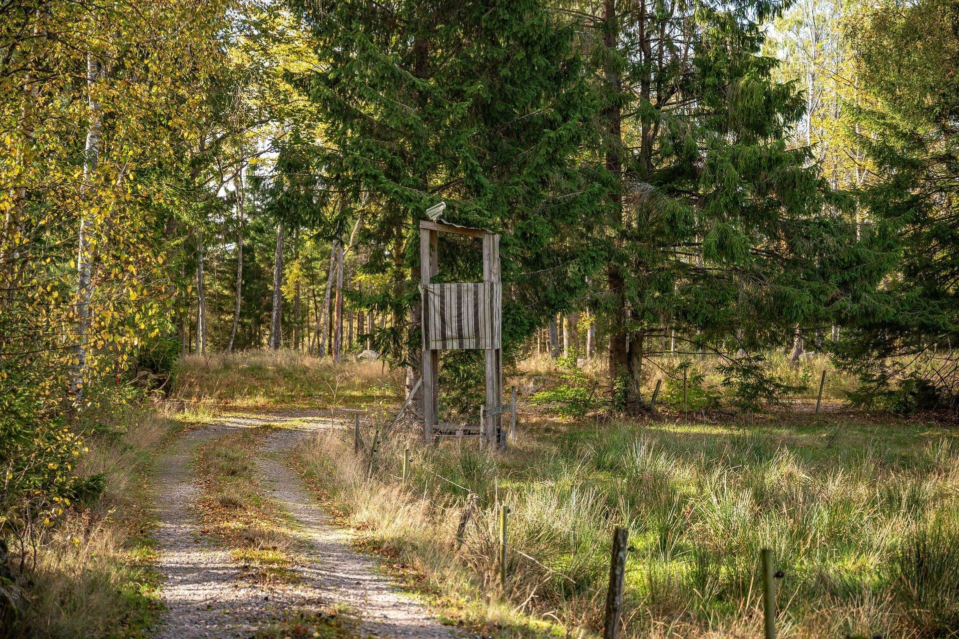 Gård/skog på Jägersborgsvägen Hässleholms kommun - bild 10