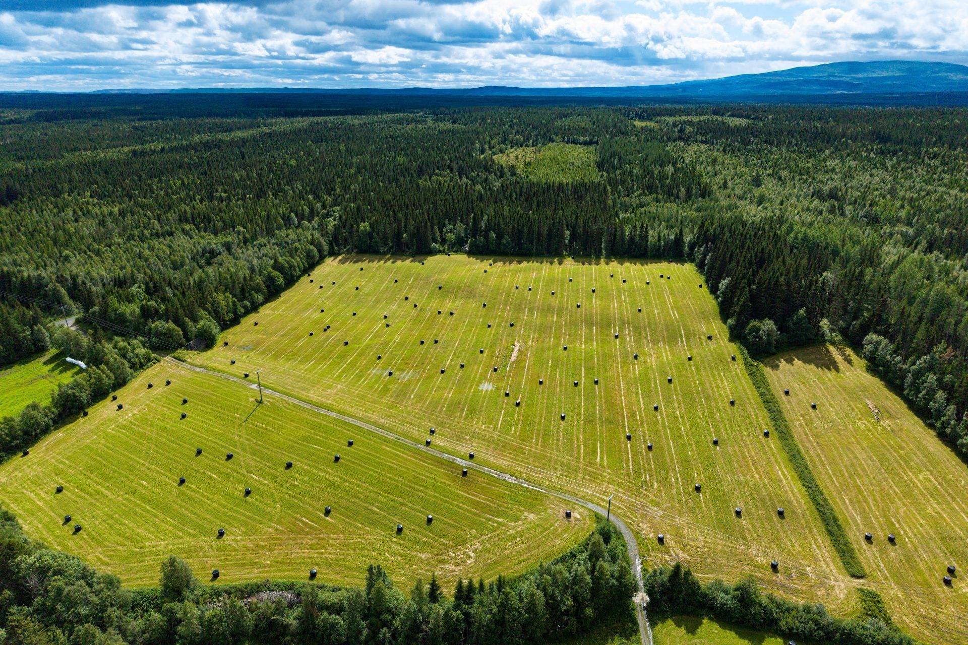 Gård med jordbruk på Högenvägen 29 Hallen Åre kommun - bild 73