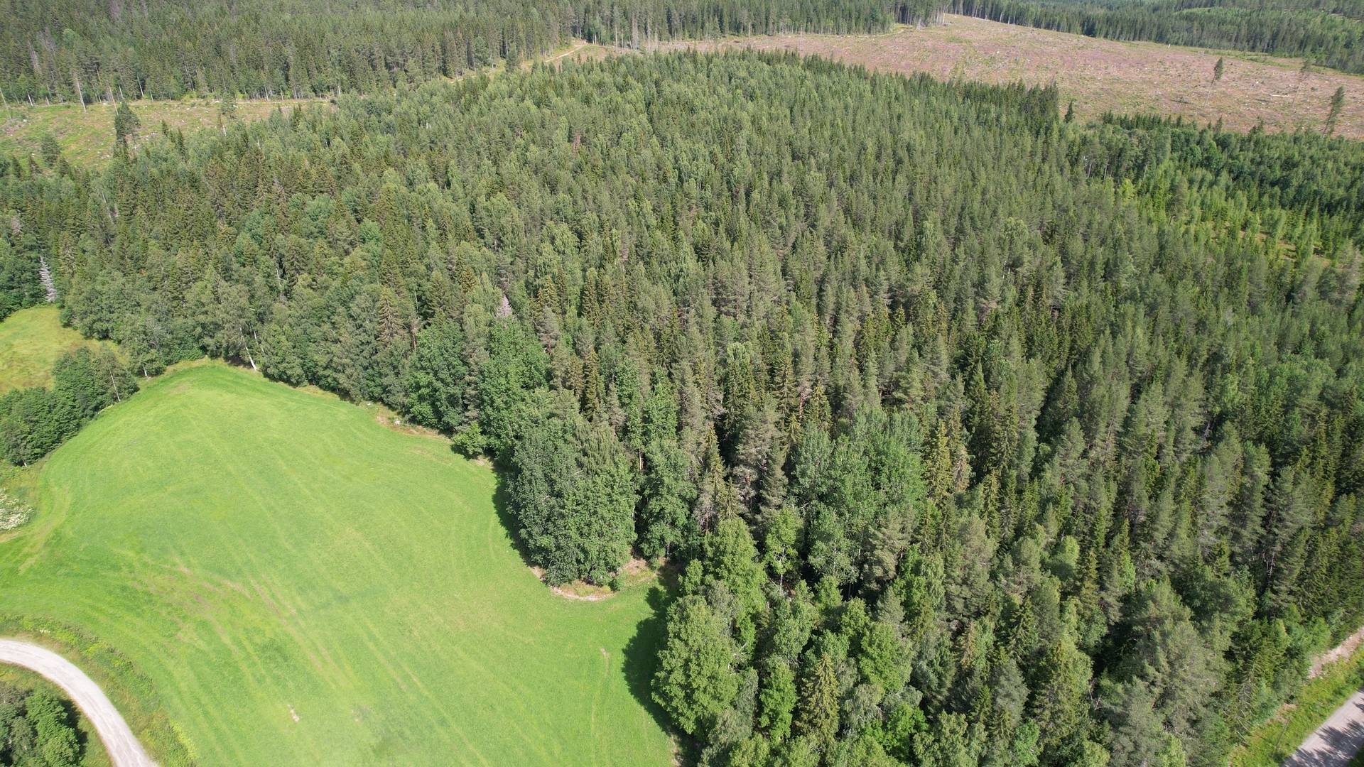 Gård med jordbruk på Nolås Sidensjö Örnsköldsviks kommun - bild 32