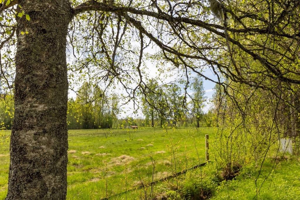2 rum Fritidshus på Gunnersbyvägen 32 Dalsskog Melleruds kommun - bild 20