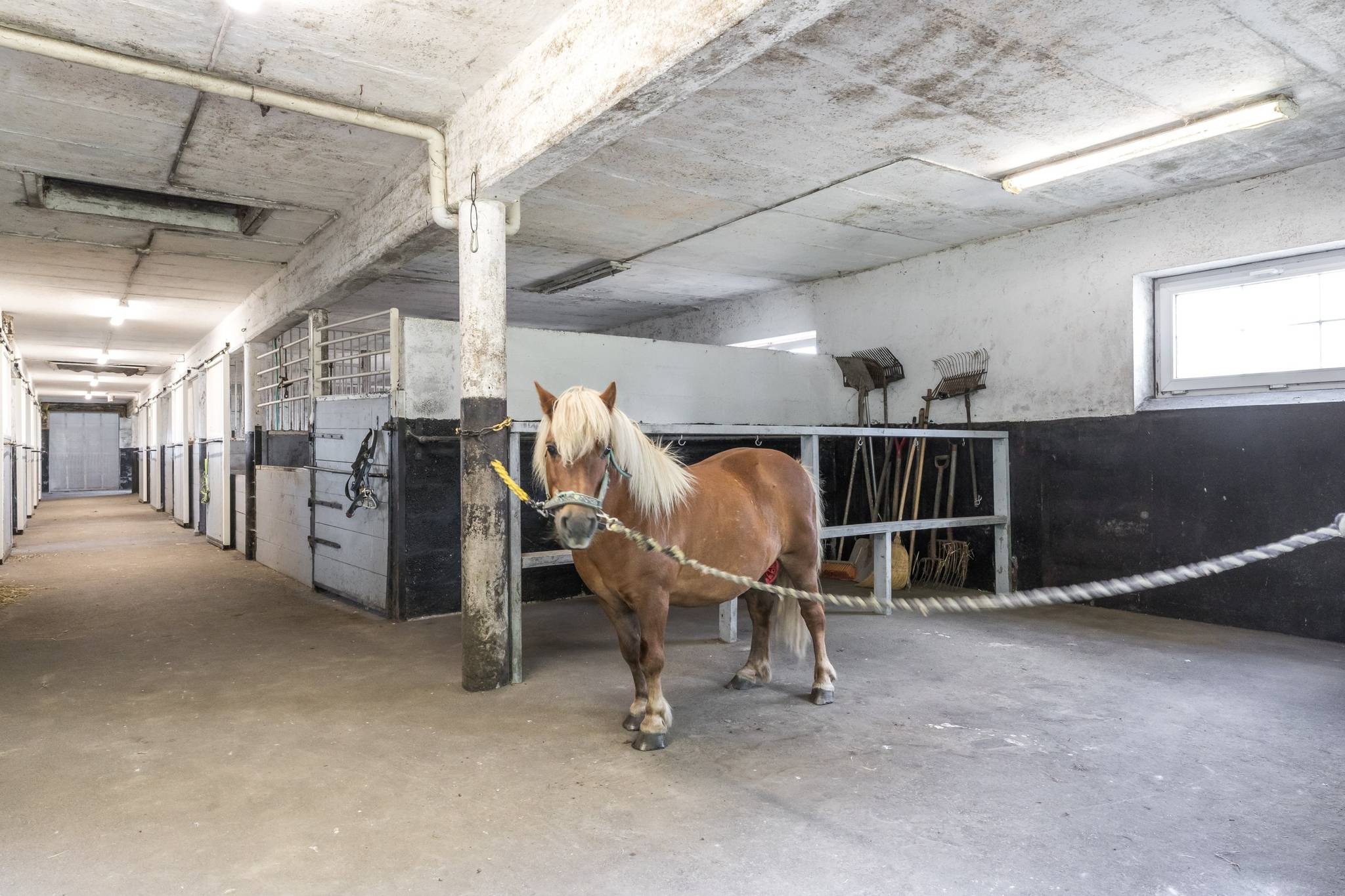 7 rum Gård/skog på Höjalund - Åbyvägen 410 Anderslöv/Norra Åby Trelleborgs kommun - bild 39