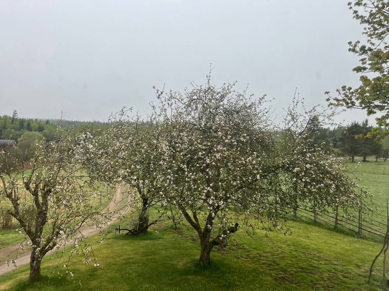 3 rum Gård/skog på Starred Slättåkra 1 Sexdrega Svenljunga kommun - bild 27