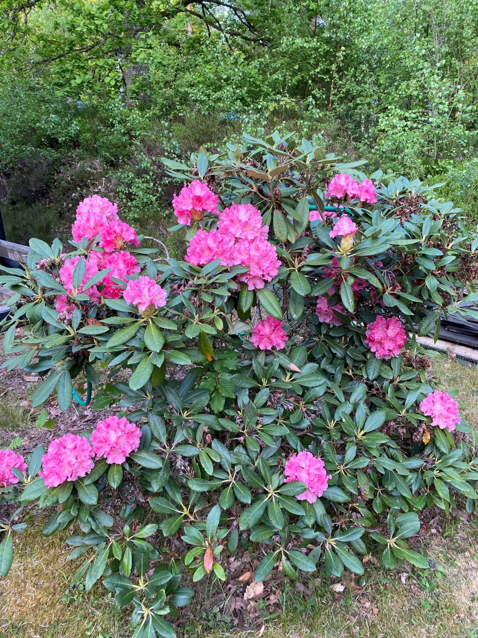 5 rum Fritidshus på Raskens väg 2 Västra Torup Hässleholms kommun - bild 22