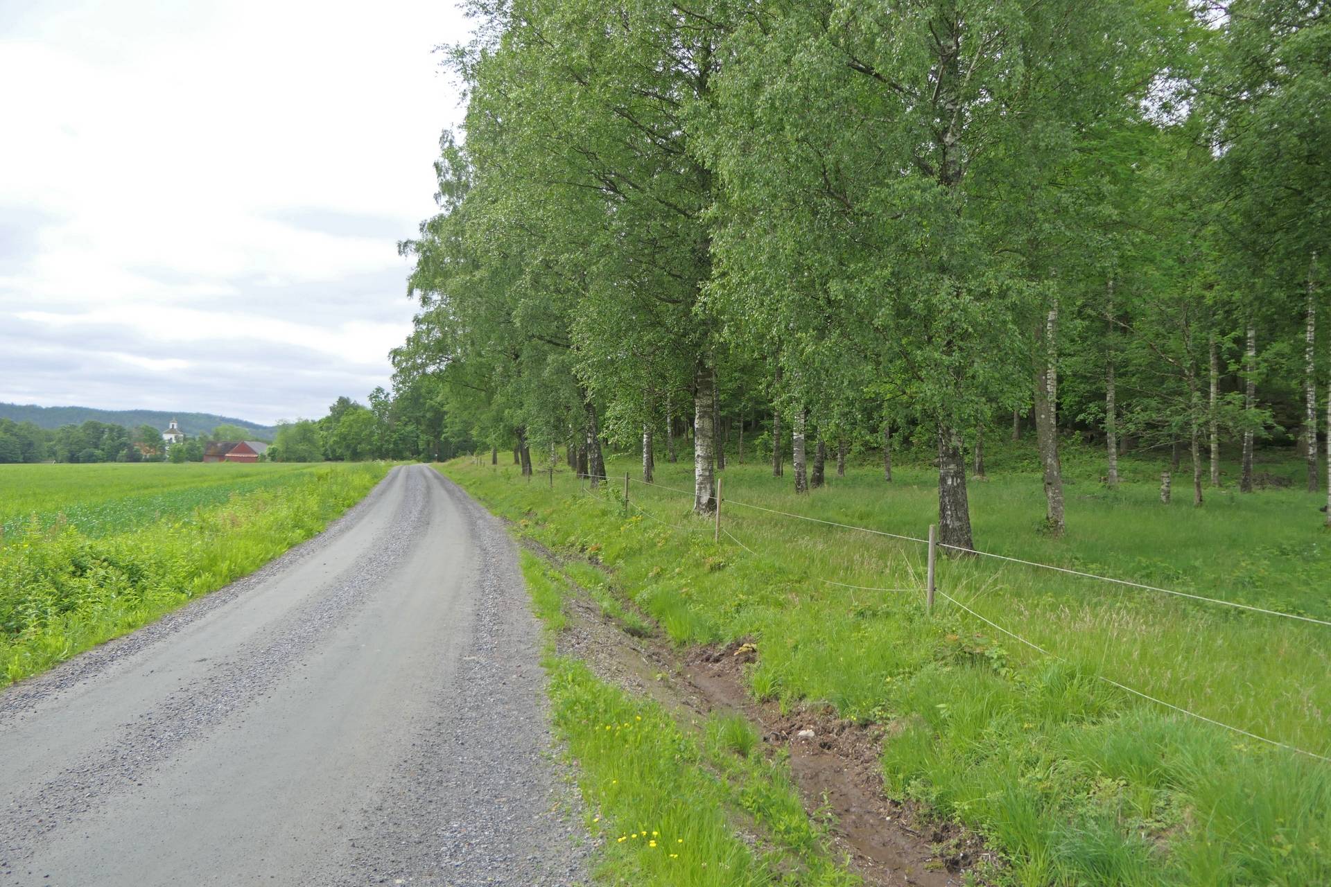 Gård/skog på Idalahult Kungsbacka kommun - bild 8