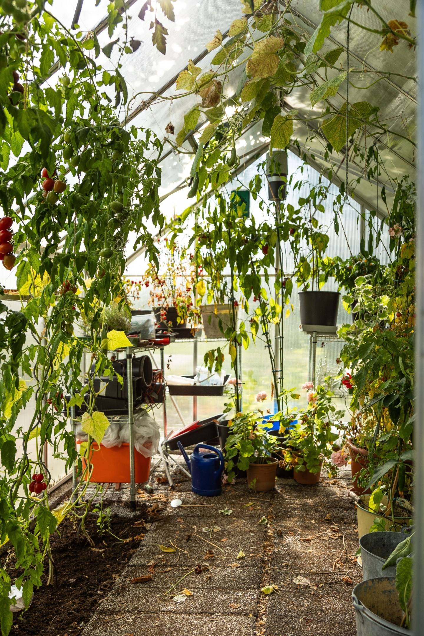 6 rum Villa på Övre Norrbackagatan 20 Marieborg Västerviks kommun - bild 54