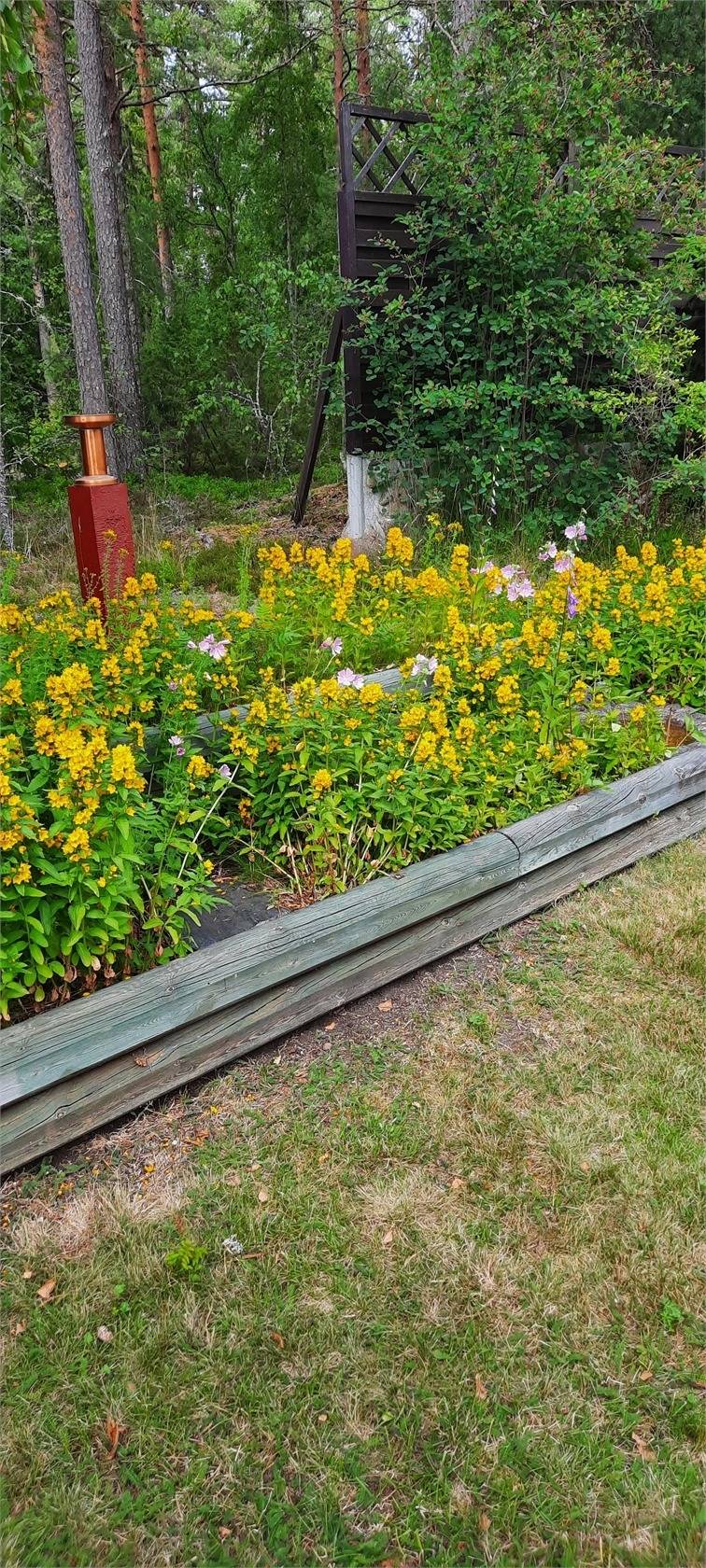 3 rum Vinterbonat fritidshus på Bergbyvägen 9 Hallstavik Norrtälje kommun - bild 34