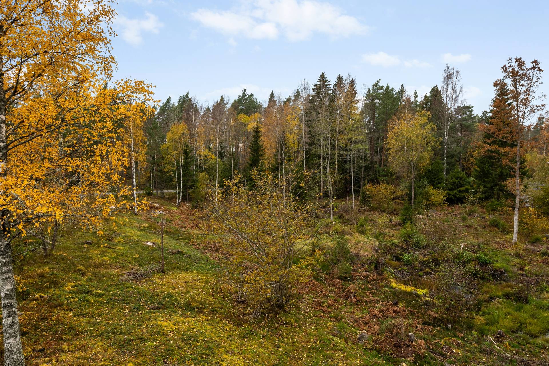 tomt på Sollarövägen 54 Sollarö, Norrtälje kommun - bild 2