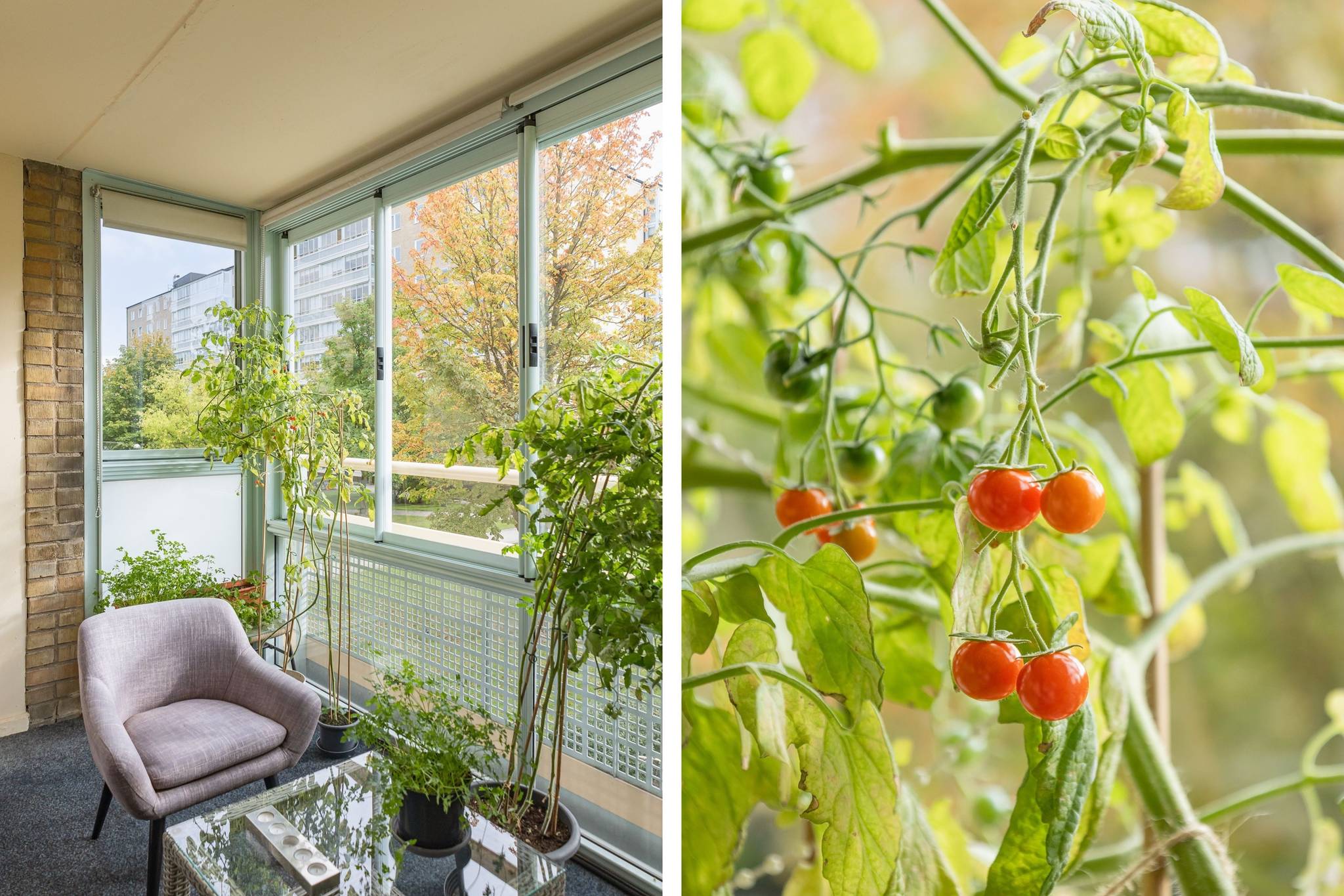 2 rum Lägenhet på Annebergsgatan 5B Borgmästaregården Malmö kommun - bild 17