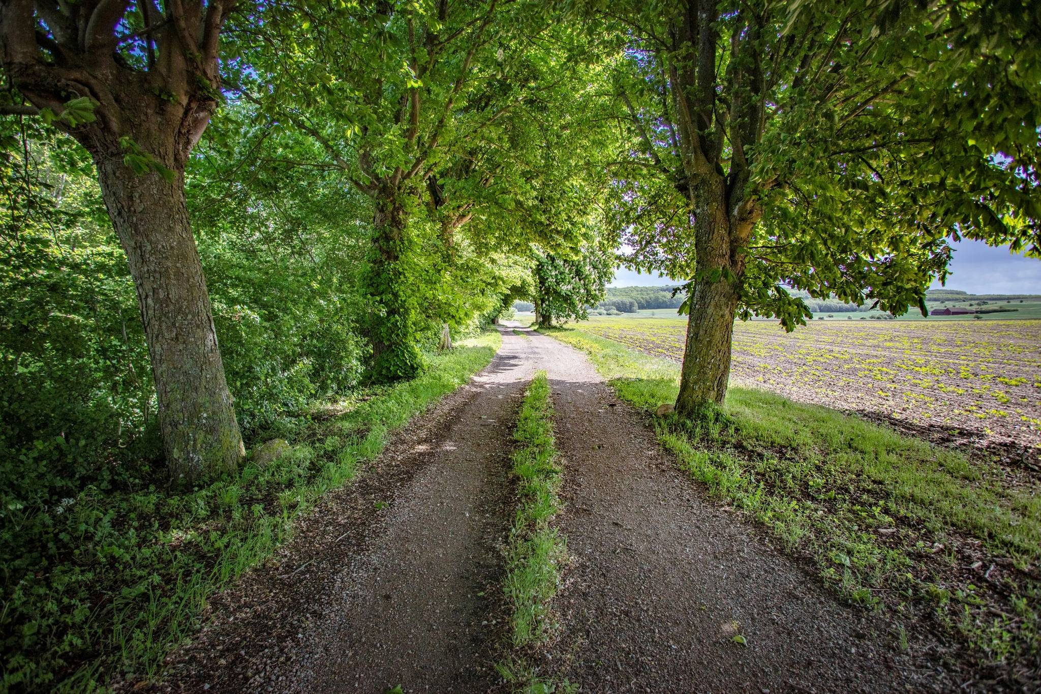 3 rum Villa på ASSARHÖG, Tjustorpsvägen 134-9 Skabersjö Svedala kommun - bild 3