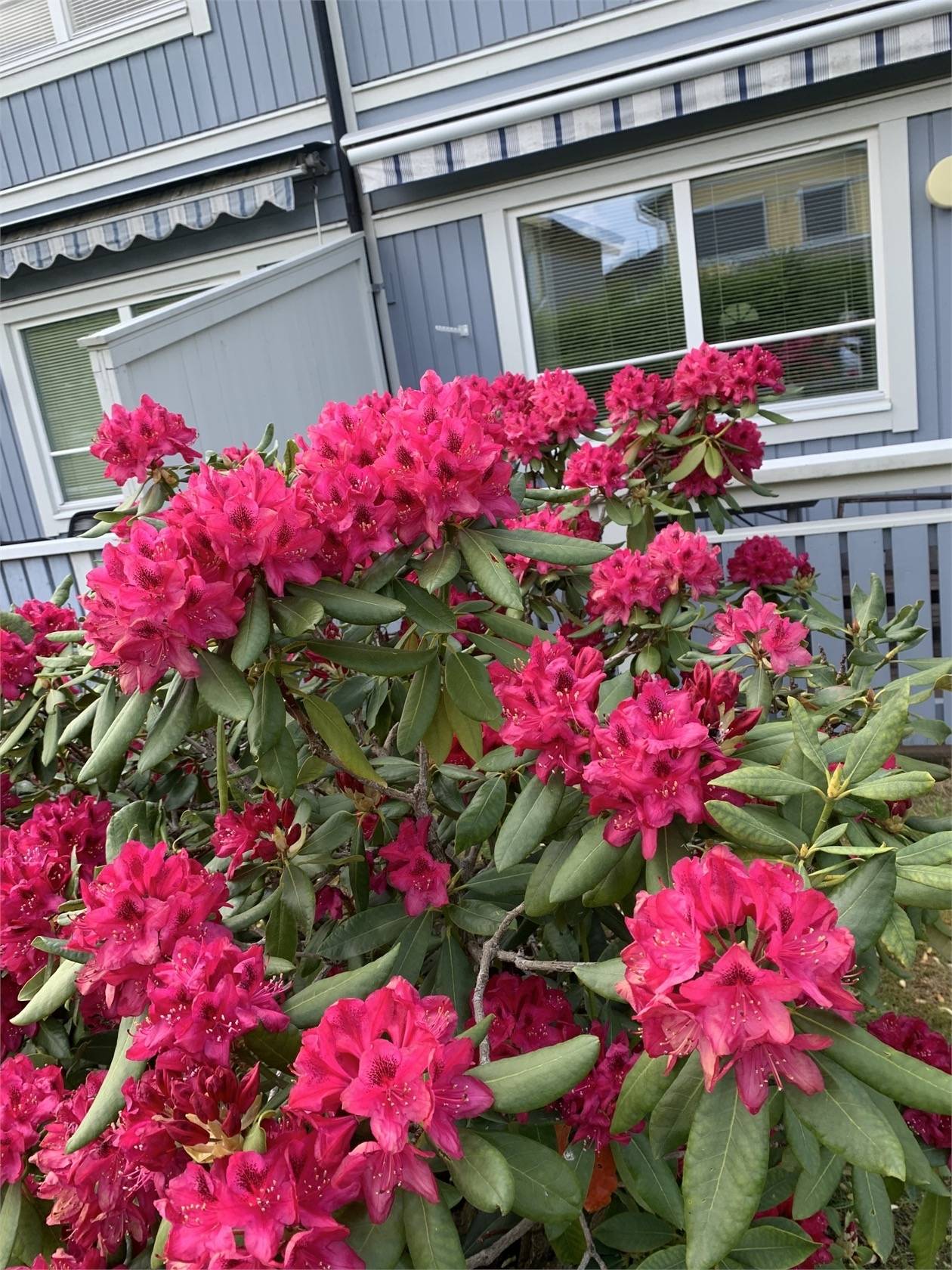 4 rum Parhus på VALLVÄGEN 52 Västra Jakobsberg Järfälla kommun - bild 24