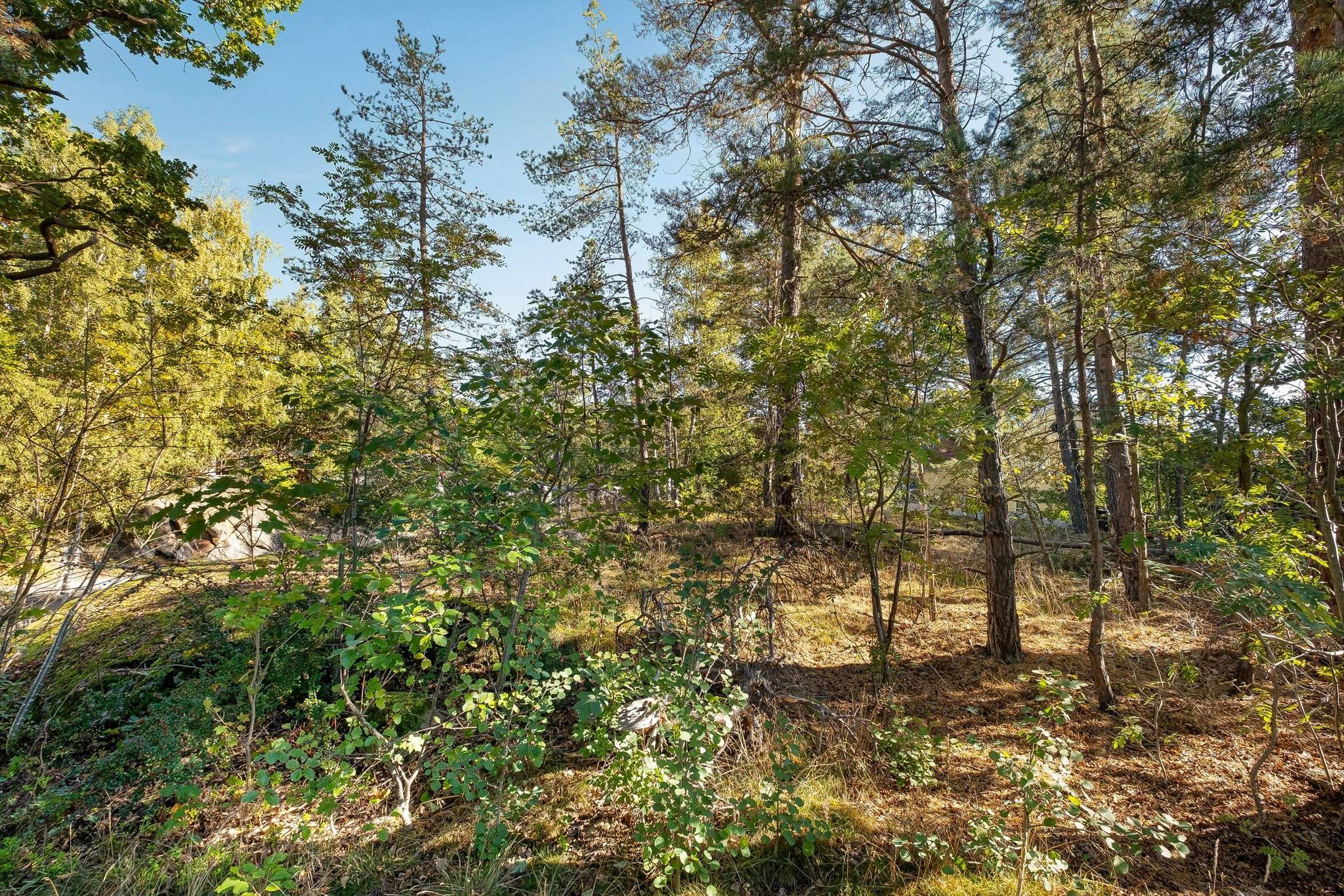 Tomt på Sylvestergatan 61 Älvsjö Stockholms kommun - bild 3