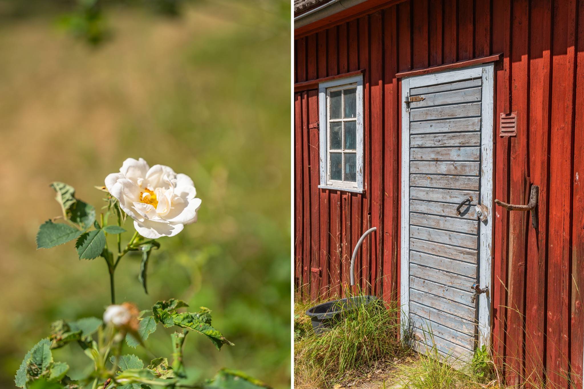60 m² Fritidshus på Västra Alvaragatan 44 Mellböda Borgholms kommun - bild 4