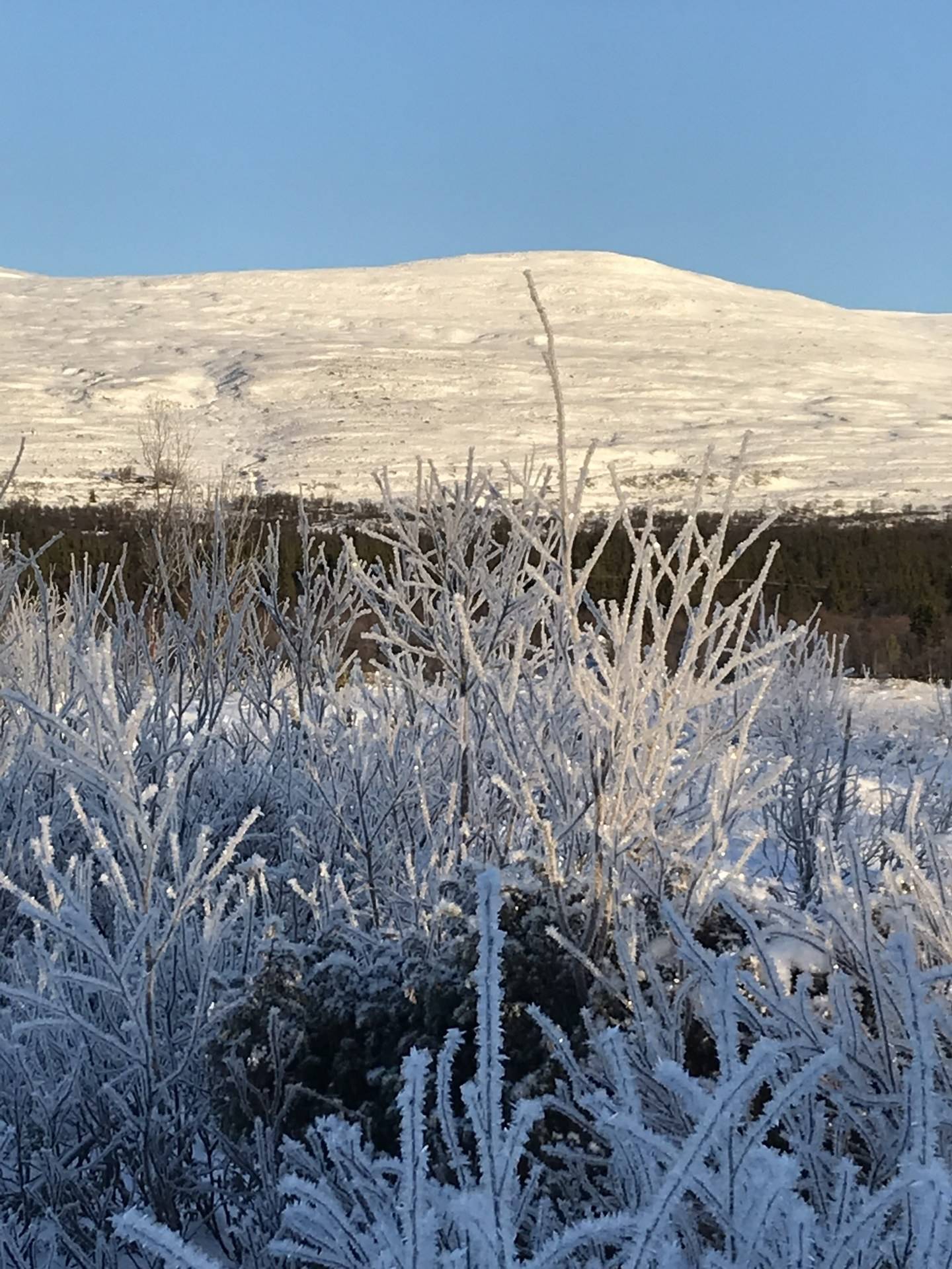 1 rum Fritidshus på Arådalen Kapellvägen 36 Oviksfjällen Bergs kommun - bild 24