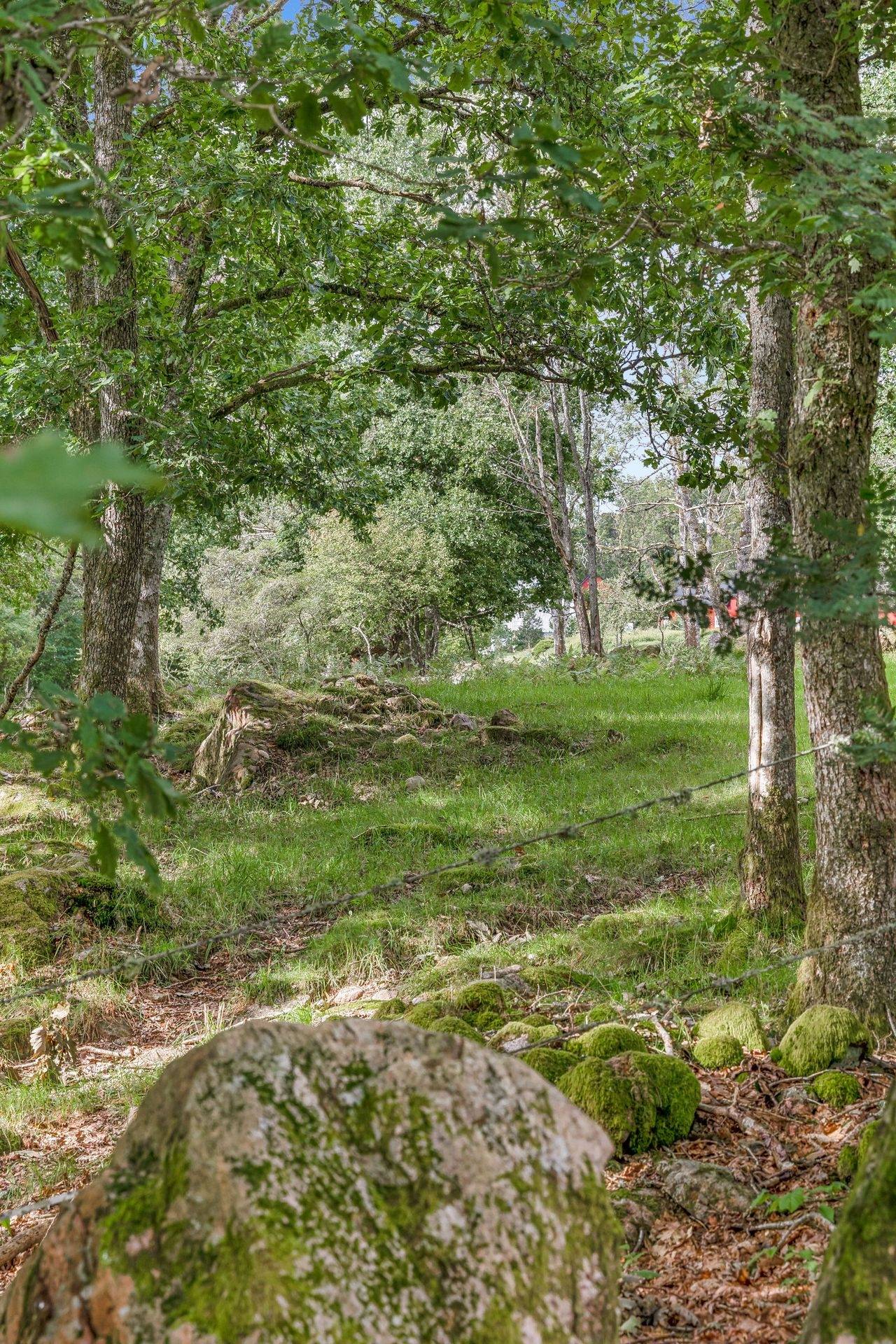 Gård/skog på Sibbalt 1 SÖDRA HALLAND Laholms kommun - bild 20