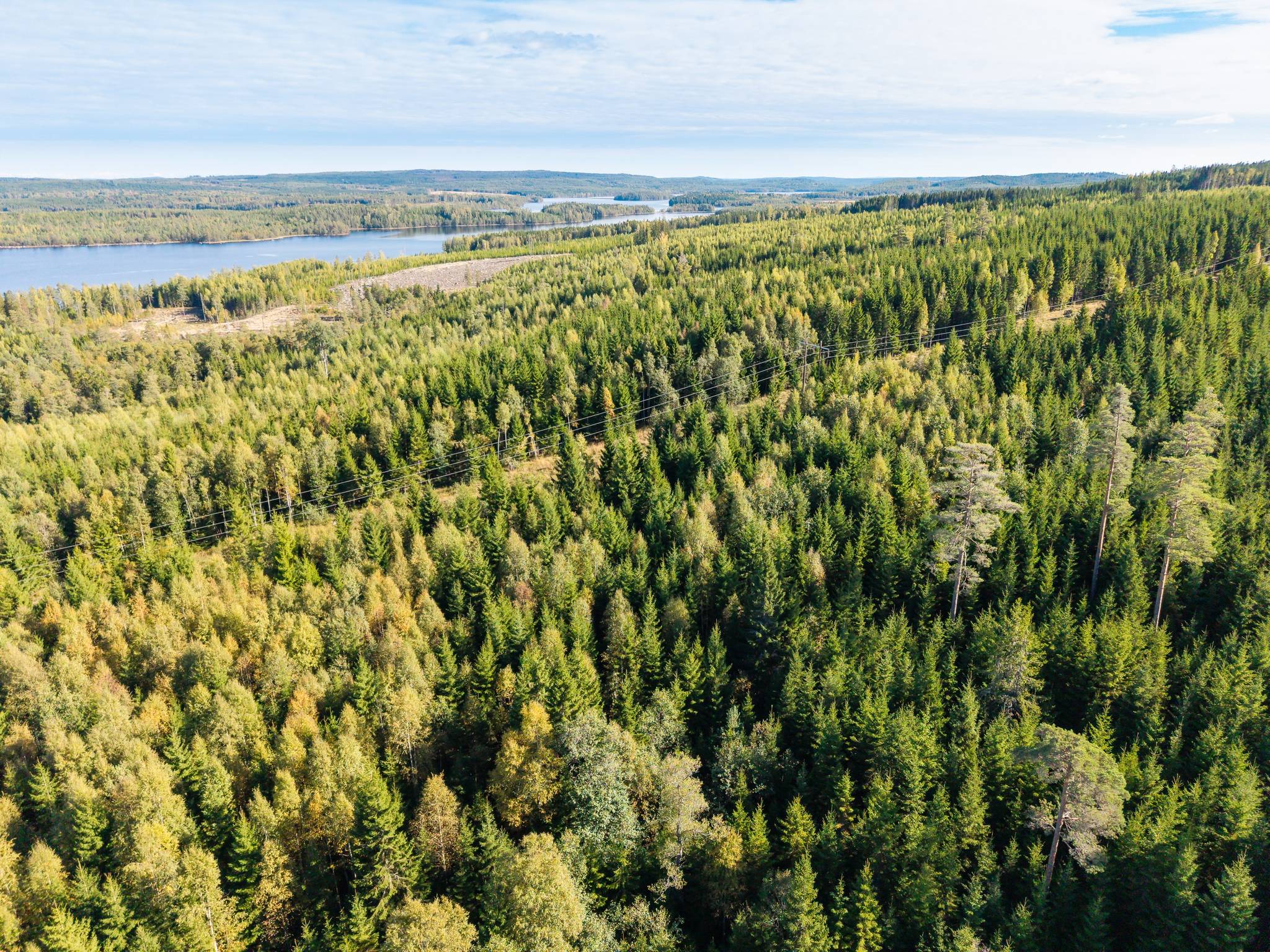 Gård med skogsbruk på Limmingen 14 Hällefors kommun - bild 13