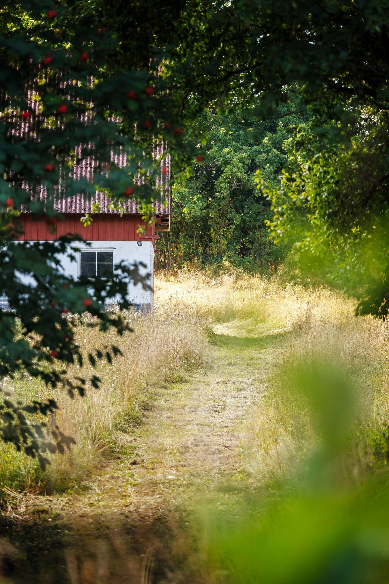 Gård med jordbruk på Fastorp Vaggeryds kommun - bild 29