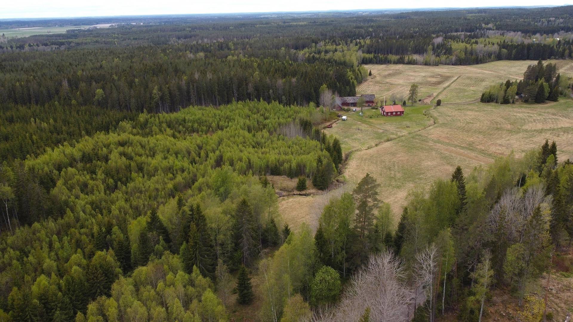 Gård med jordbruk på Ölme Björndalen 1 Norra Ölme Kristinehamns kommun - bild 35