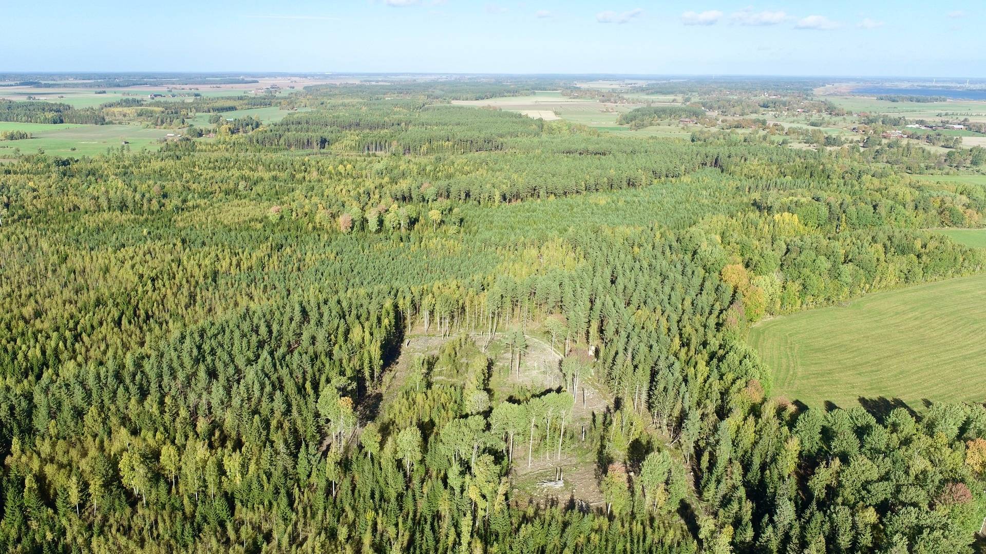 Gård med skogsbruk Binneberg Skövde kommun - bild 7