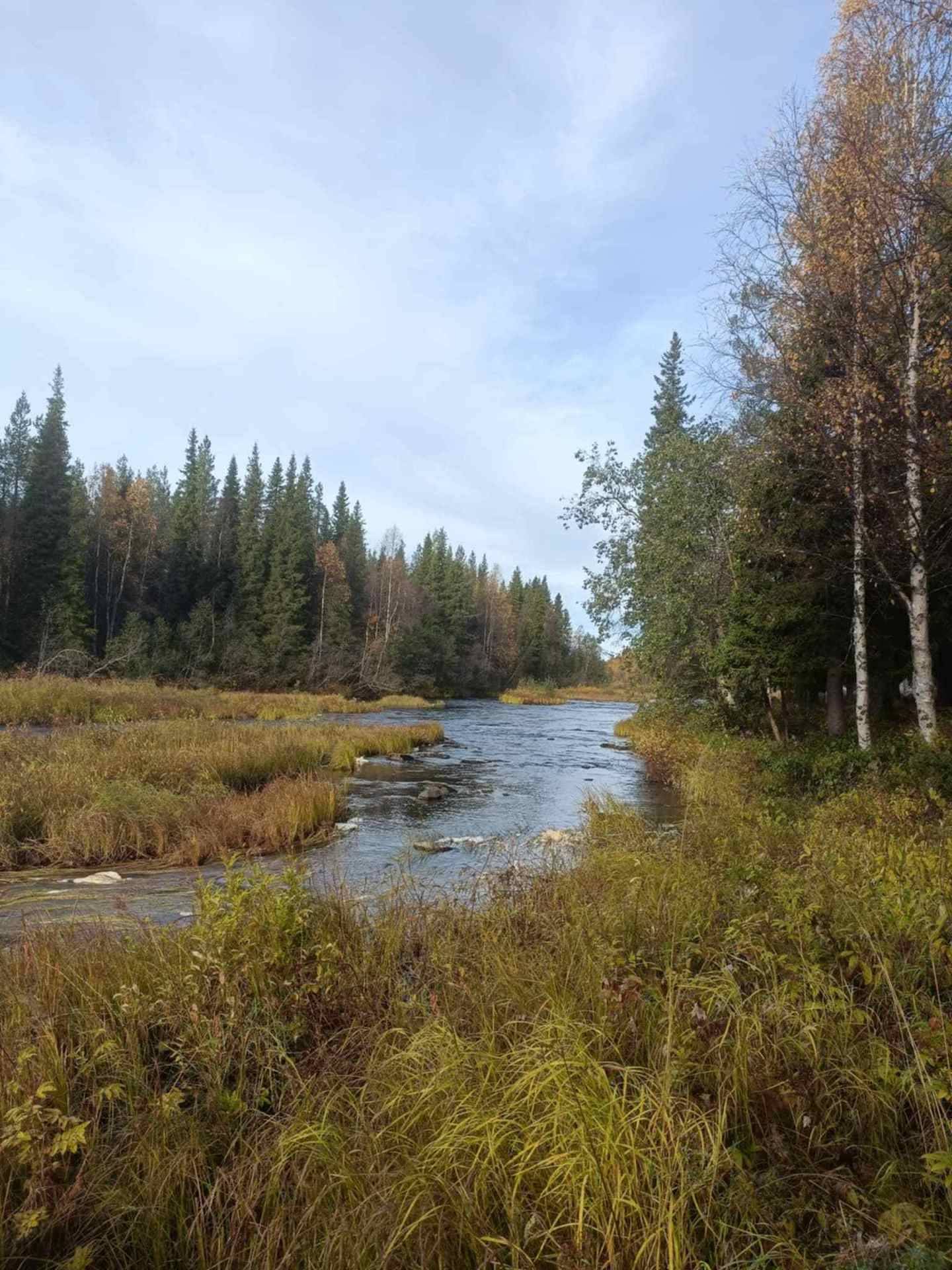 4 rum Gård utan jordbruk på Byvägen 34 Nattavaaraby Gällivare kommun - bild 55