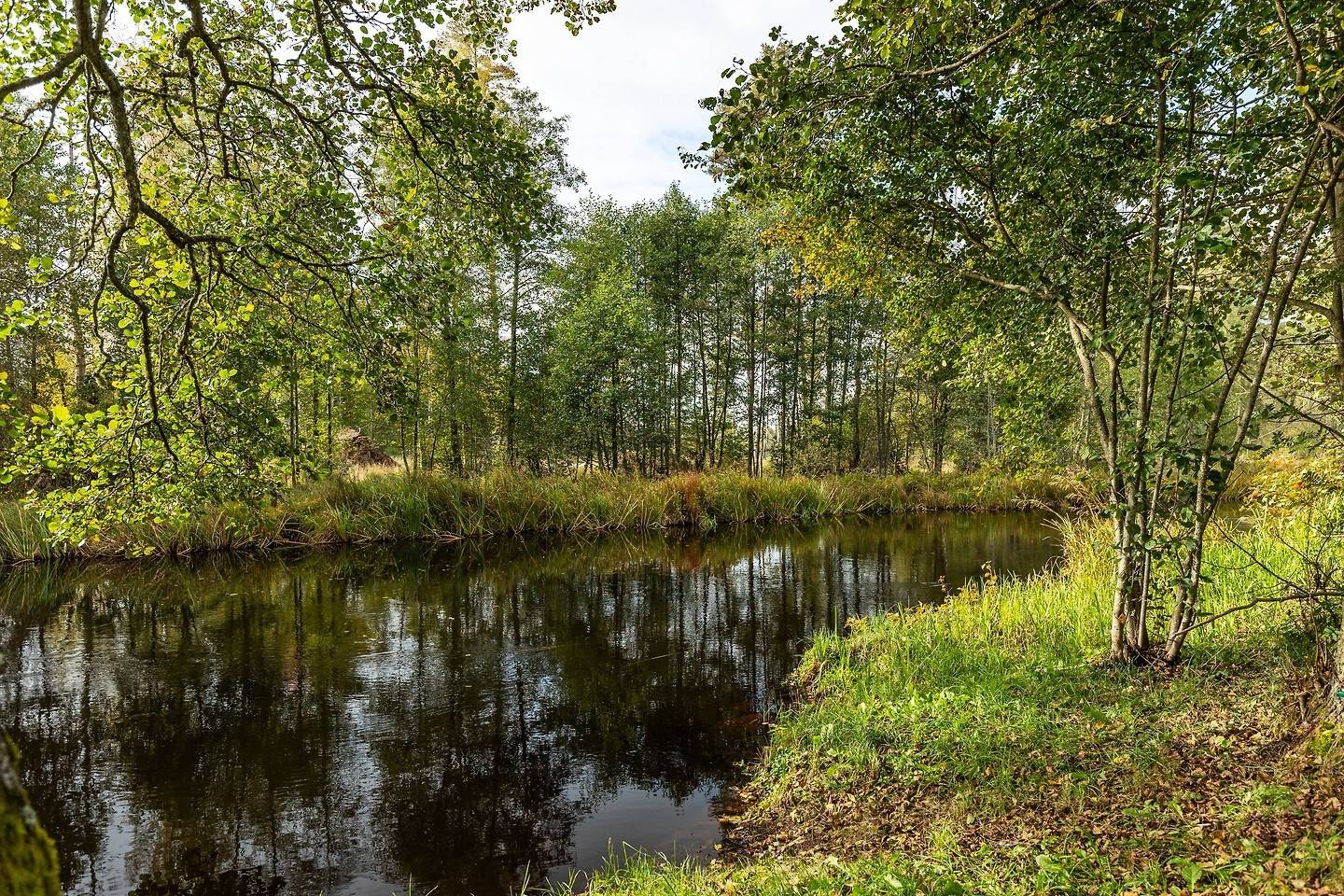 8 rum Villa på Fröjered Olofstorp 5 Fröjered Tidaholms kommun - bild 54