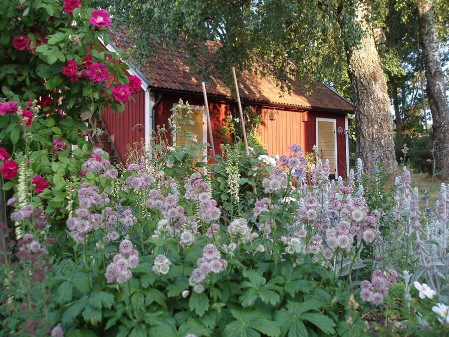 5 rum Villa på Kungs Norrby 132 Kungs Norrby Motala kommun - bild 36