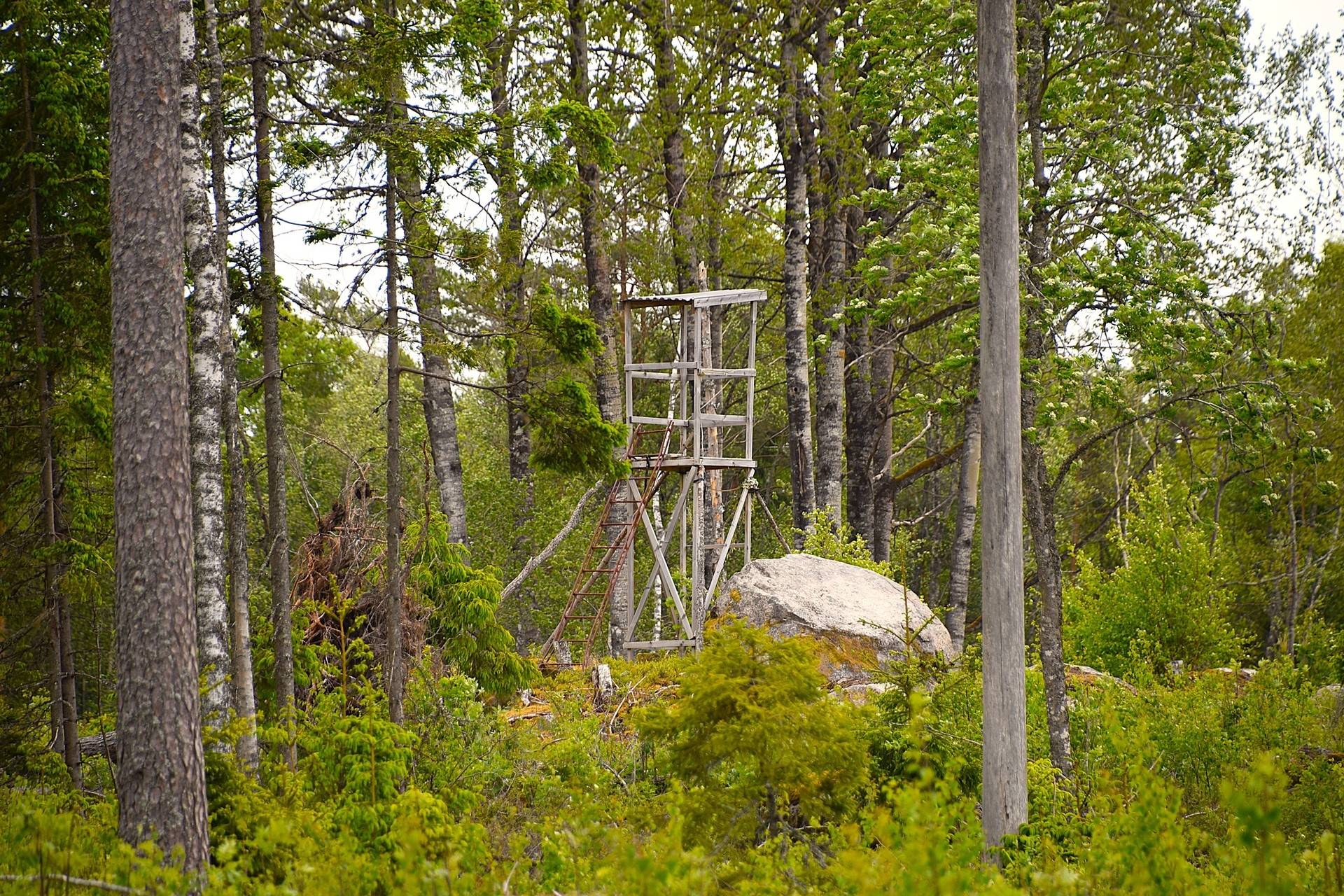 6 rum Gård med jordbruk på Ökna Gård Ökna Storfors kommun - bild 52