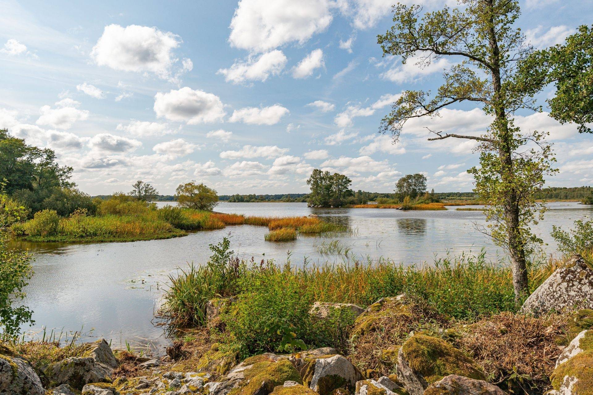 1 rum Fritidshus på Myrö 562 Myrö Örebro kommun - bild 10