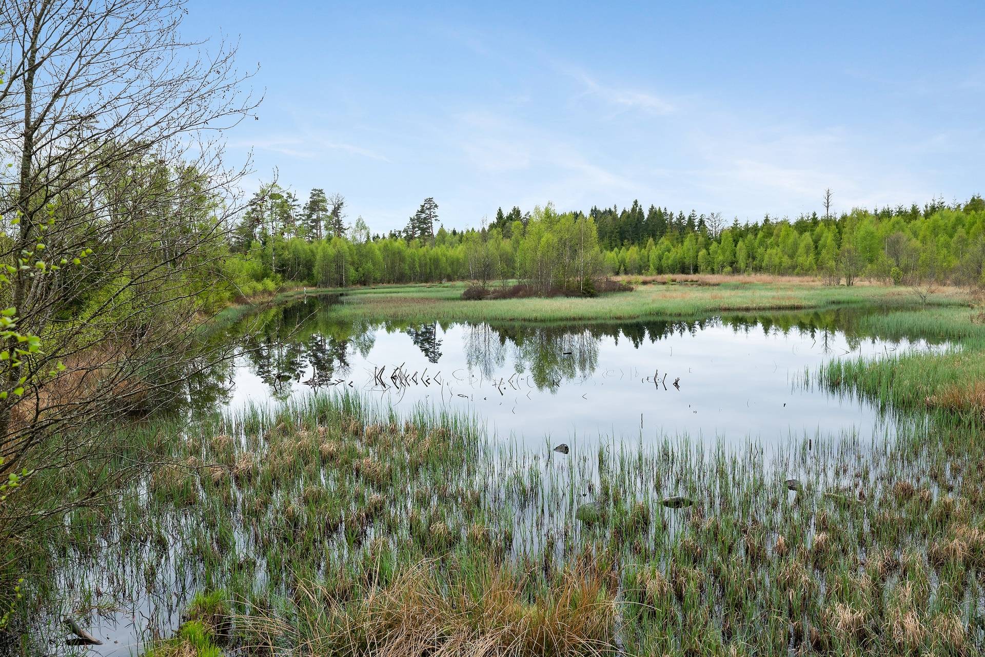 Hylte, Hylte kommun