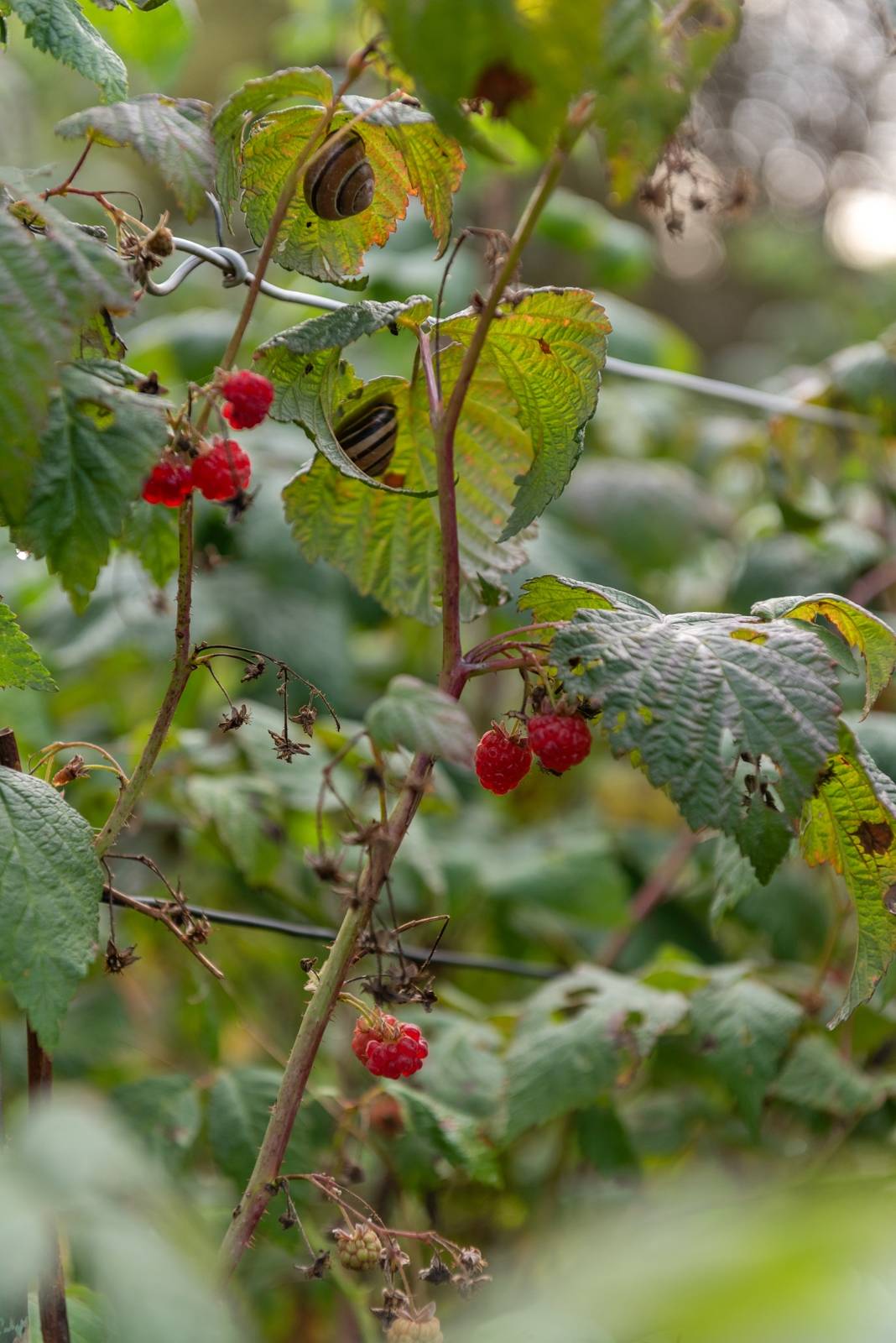 4 rum Villa på Grisslingevägen 10 Mörtnäs Värmdö kommun - bild 35