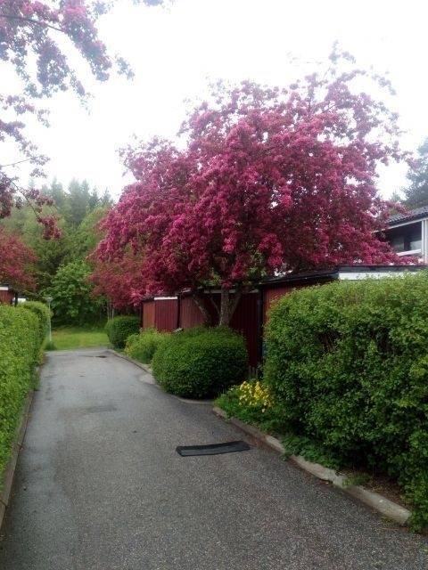 5 rum Radhus på Tornfalksvägen 33 Bosvedjan Sundsvalls kommun - bild 32