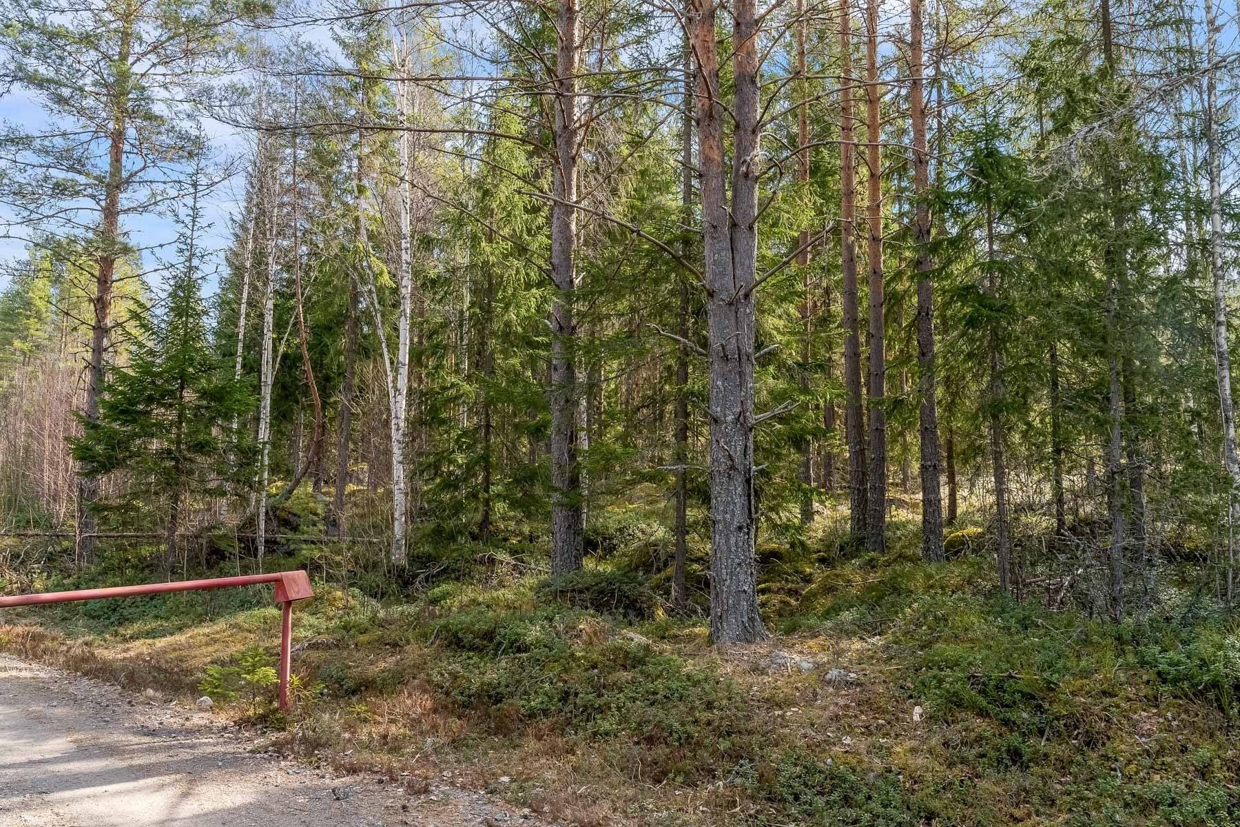 Gård med skogsbruk på GAGNEF SYRHOLEN 11:80 Gagnefs kommun - bild 15