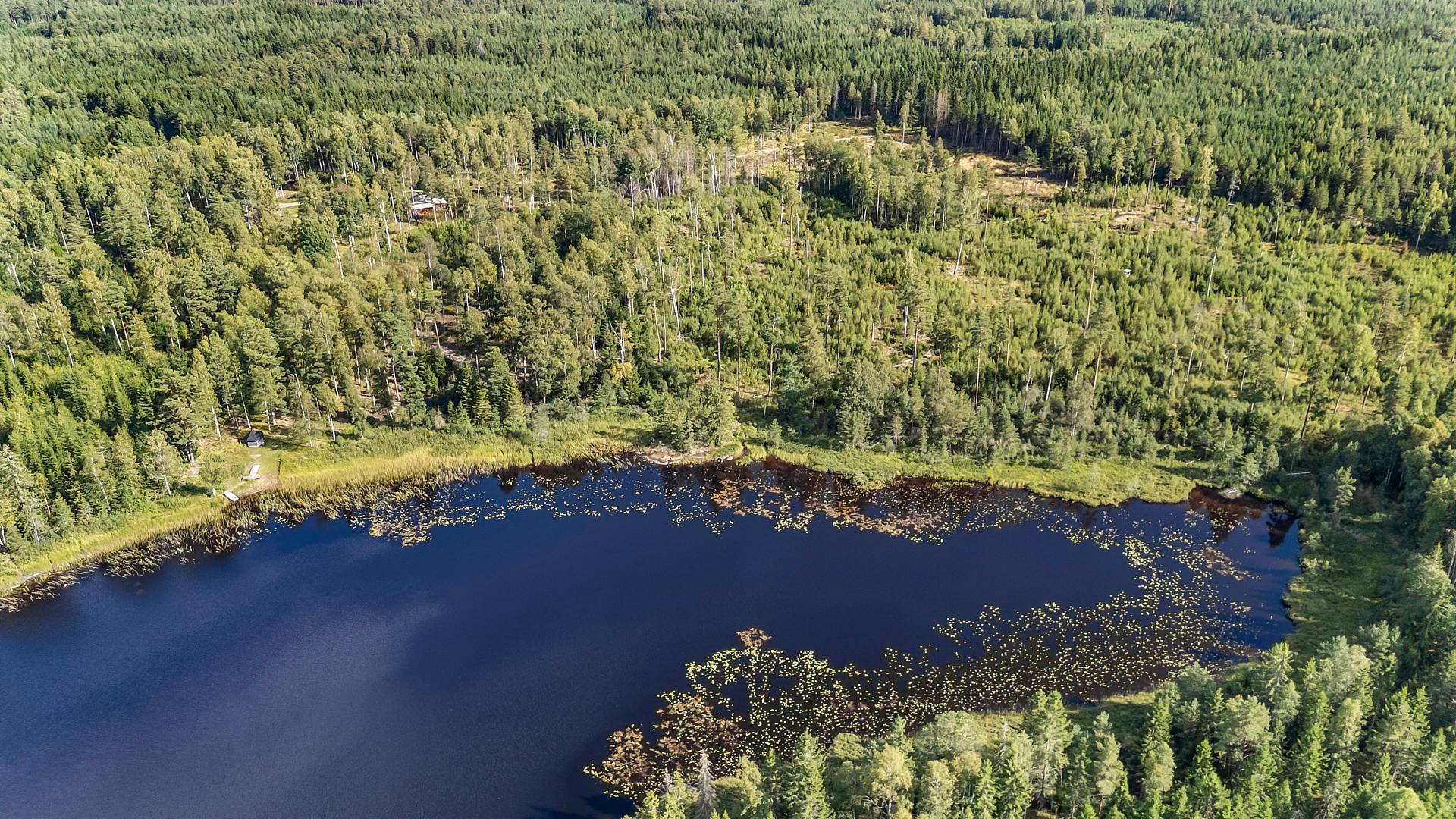 1 rum Fritidsboende på Alvesta 15 Kolsva Köpings kommun - bild 31