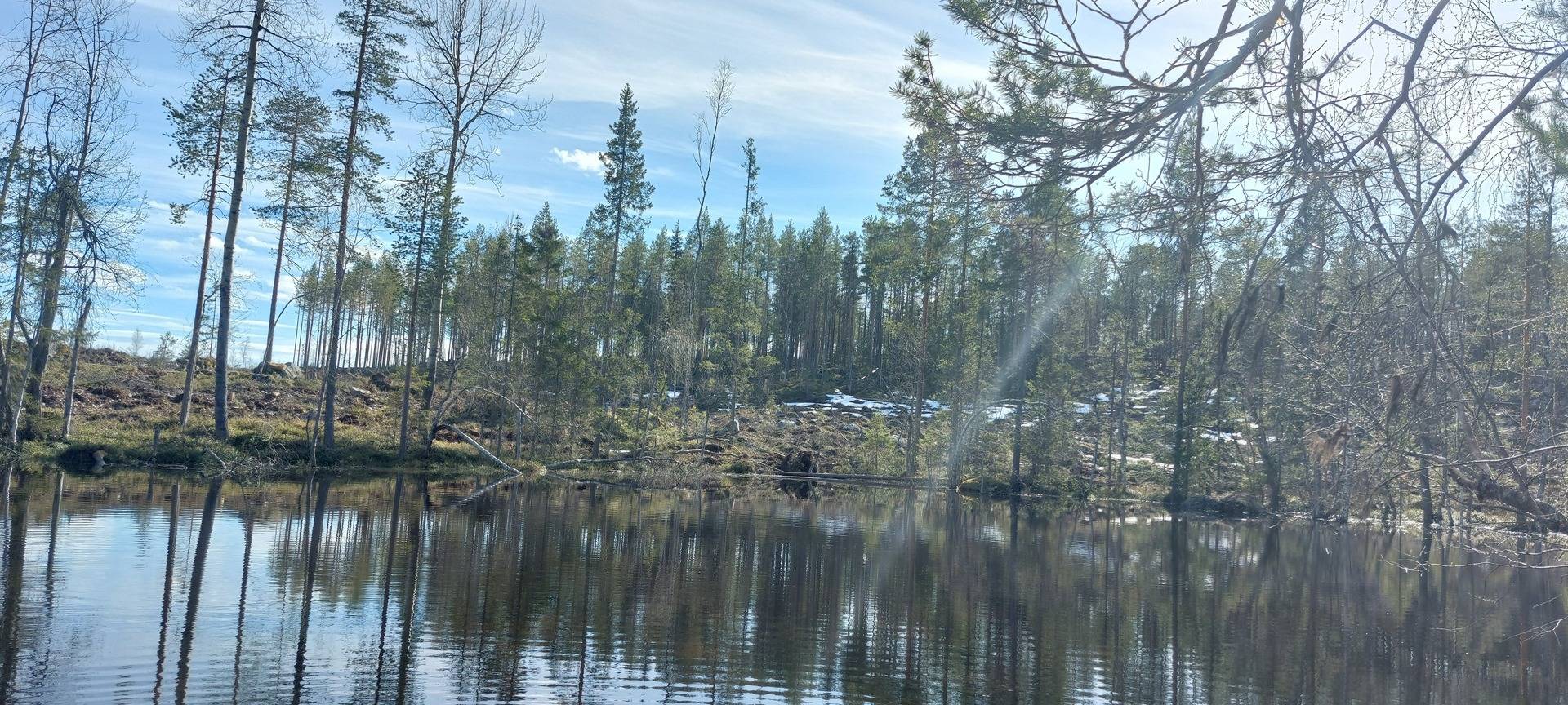 Gård med skogsbruk på Boden Gunnarsbyn 7:20 Gunnarsbyn Bodens kommun - bild 5