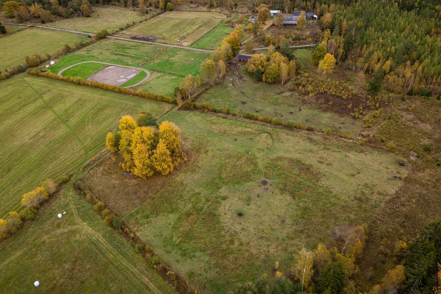 4 rum Gård/skog på Gullstigen Rosenlund 1 Boxholms kommun - bild 87