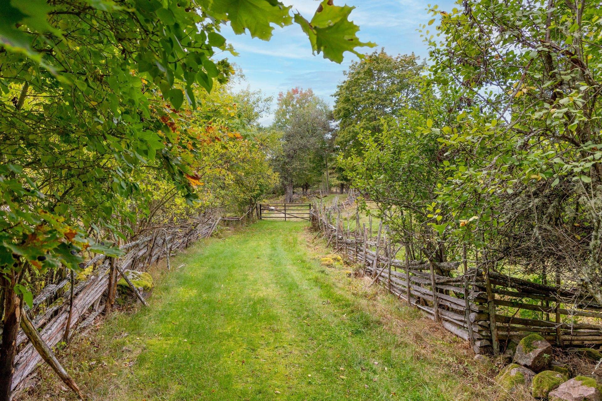 4 rum Gård/skog på Stormandebo Koltorp Västervik/Vimmerby Västerviks kommun - bild 5