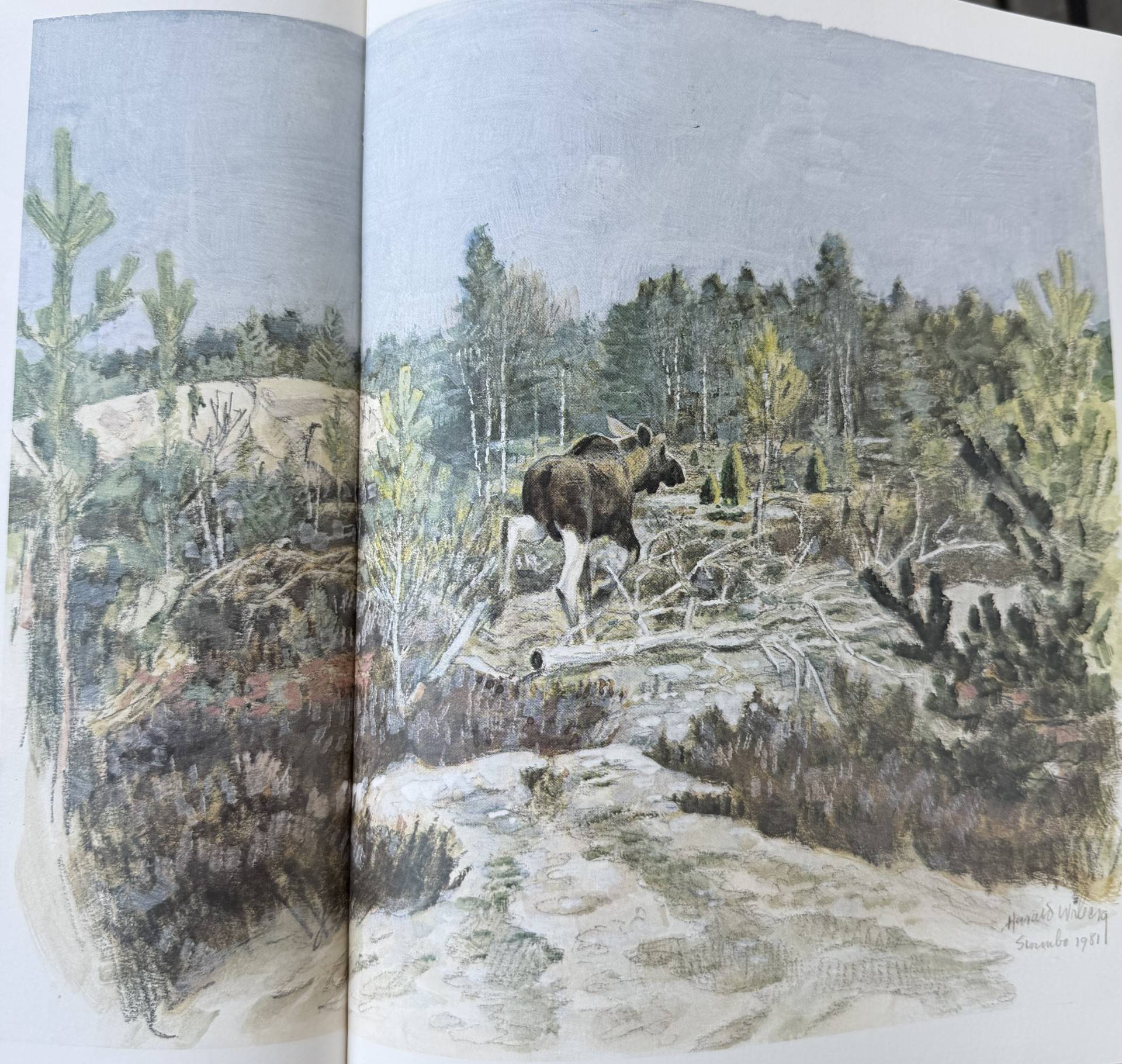 4 rum Gård/skog på Stormandebo Koltorp Västervik/Vimmerby Västerviks kommun - bild 64