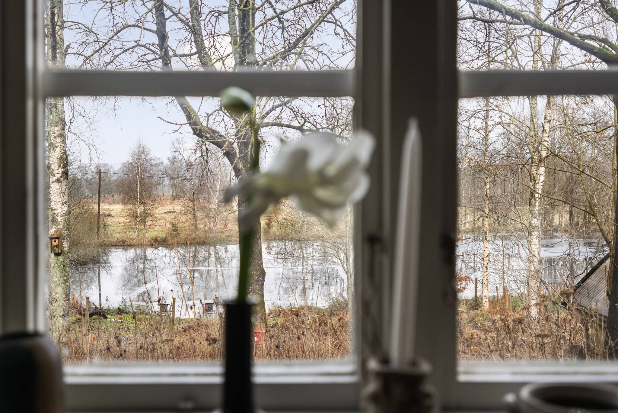 6 rum Gård/skog på Bassholma byaväg 130 Bassholma Ängelholms kommun - bild 11