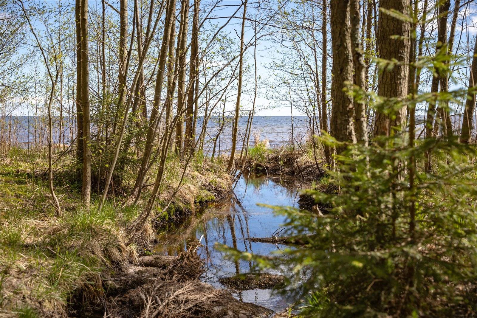 4 rum Fritidshus på Torserud Torserudssand Säffle kommun - bild 14