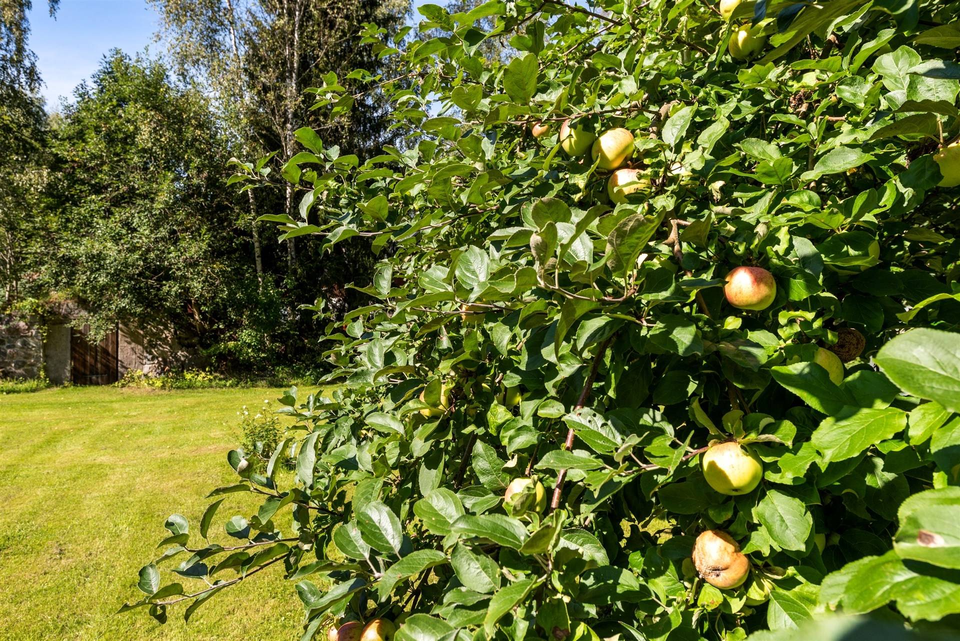 5 rum Vinterbonat fritidshus på Gamla Sonövägen 25 Sonö/Norrmarjum Norrtälje kommun - bild 27