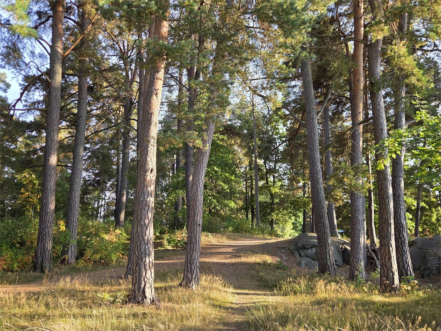 2 rum Lägenhet på Oldevigsgatan 1 Sommarro Karlstads kommun - bild 22